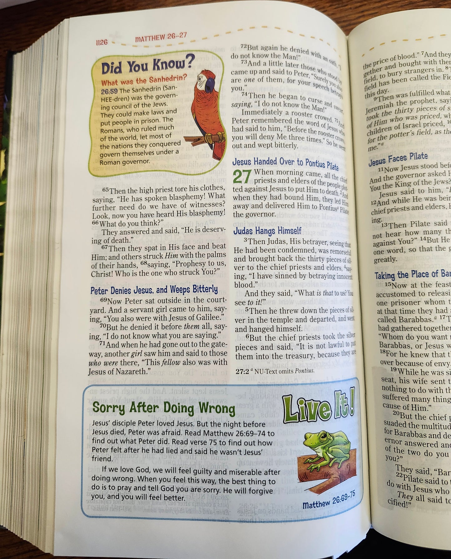 "Adventure Bible (NKJV)"