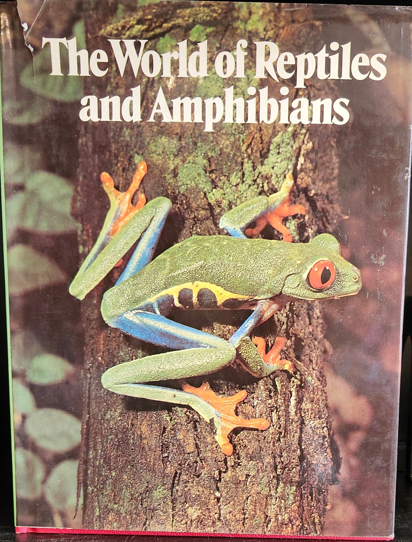 "The World of Reptiles and Amphibians" by John Honders (editor)