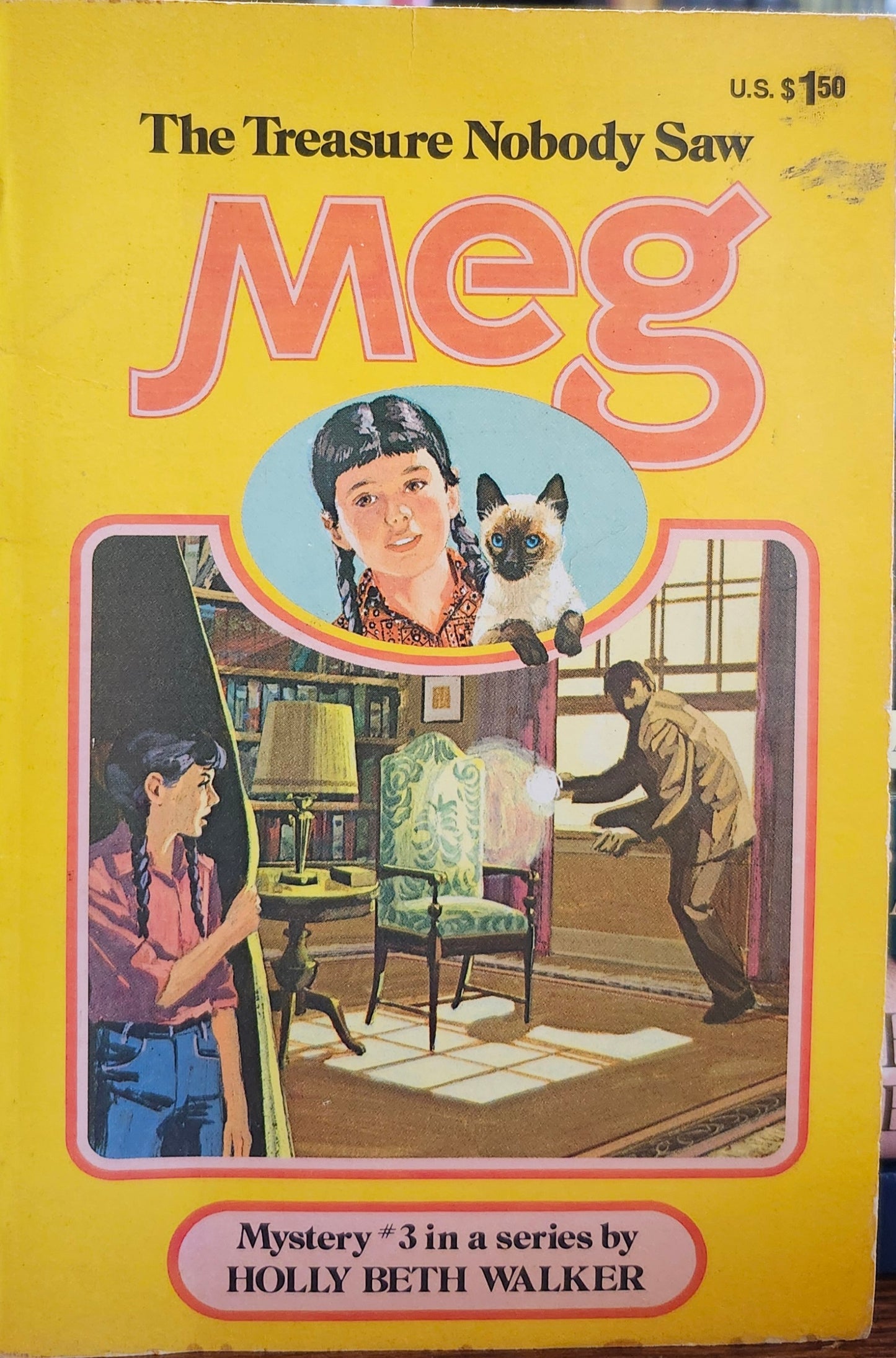 "Meg and the Treasure Nobody Saw (#3) by Holly Beth Walker