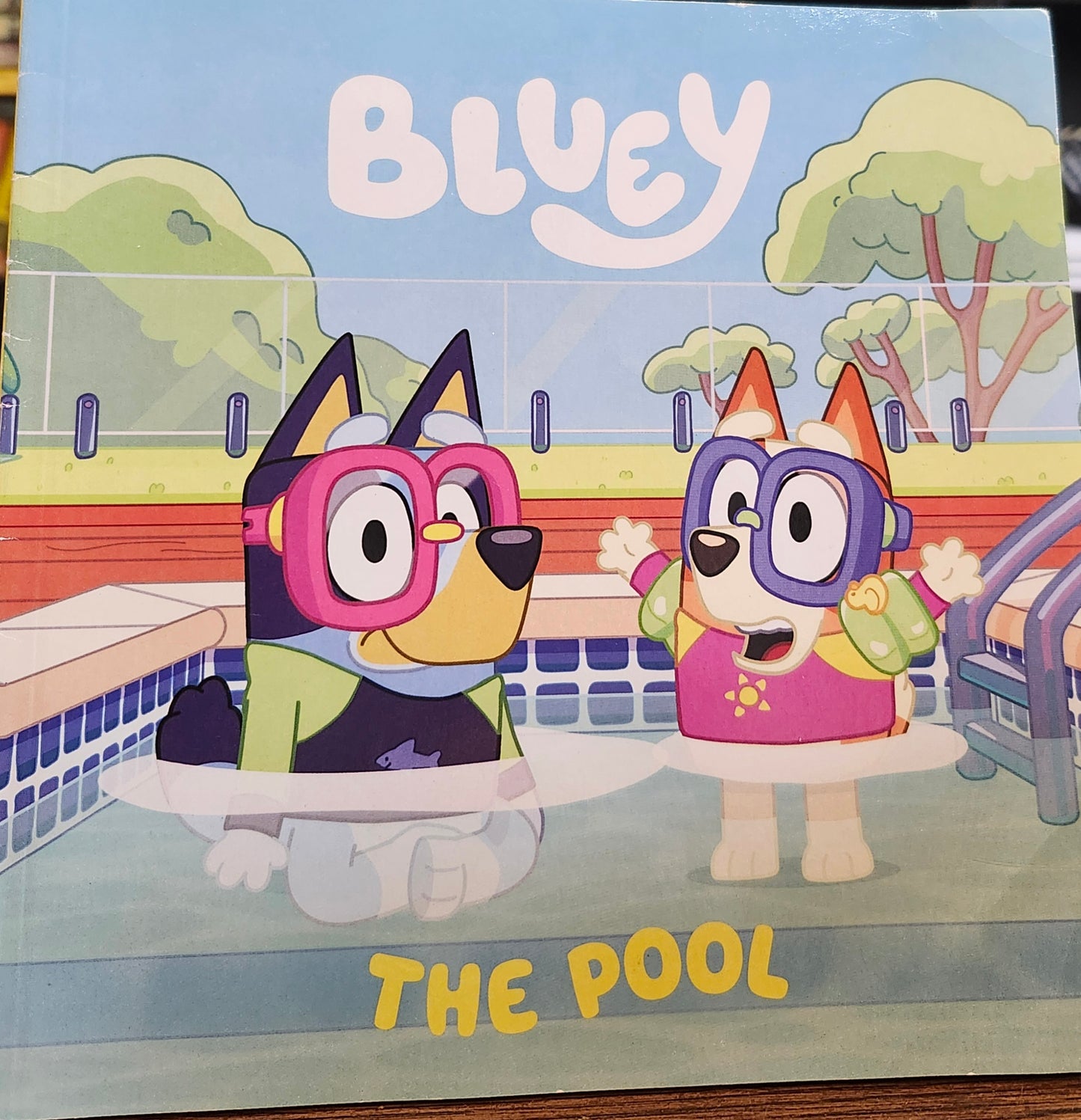 "Bluey: The Pool" based on the TV series 'Bluey'