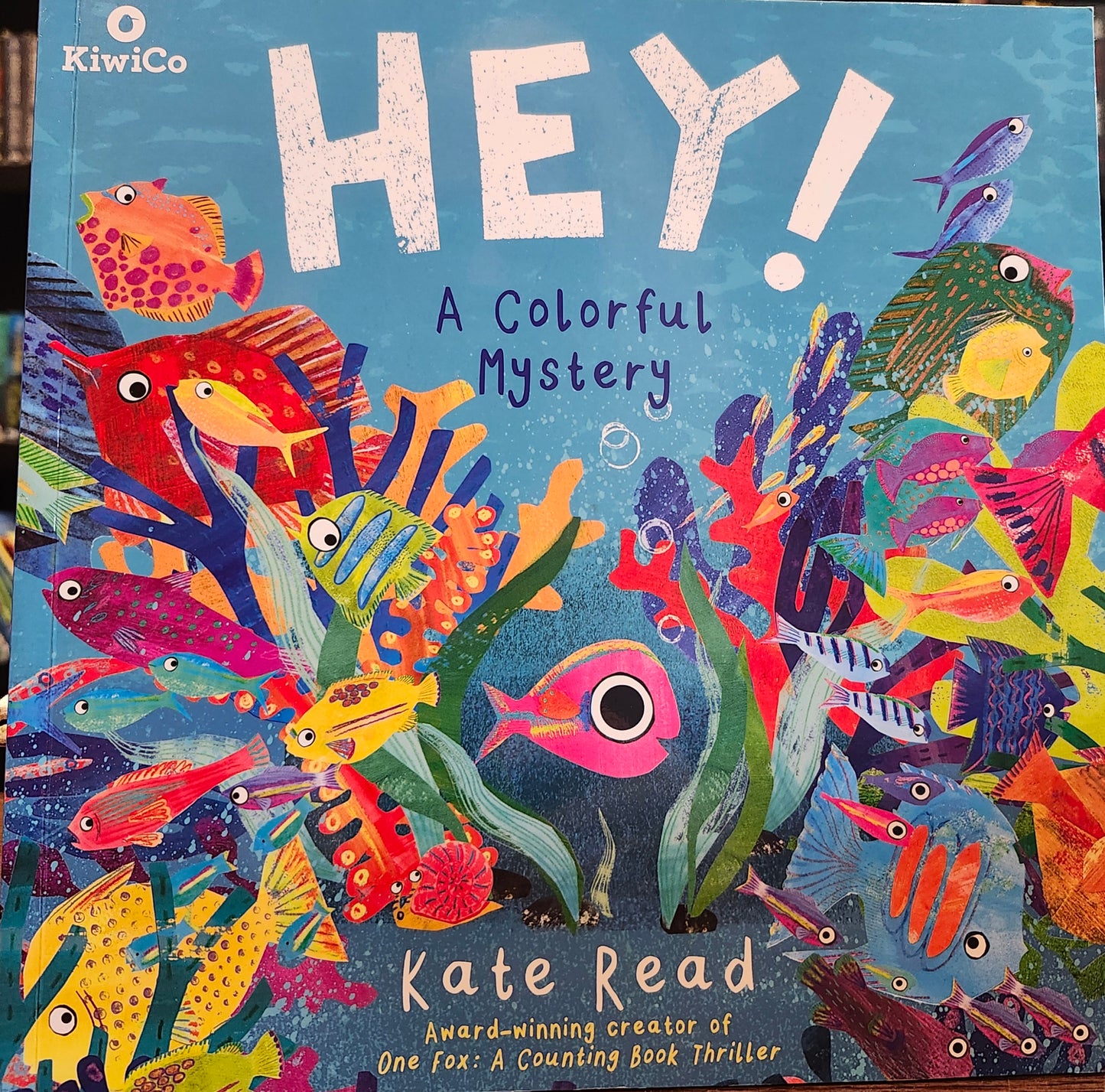 "Hey! A Colorful Mystery" by Kate Read
