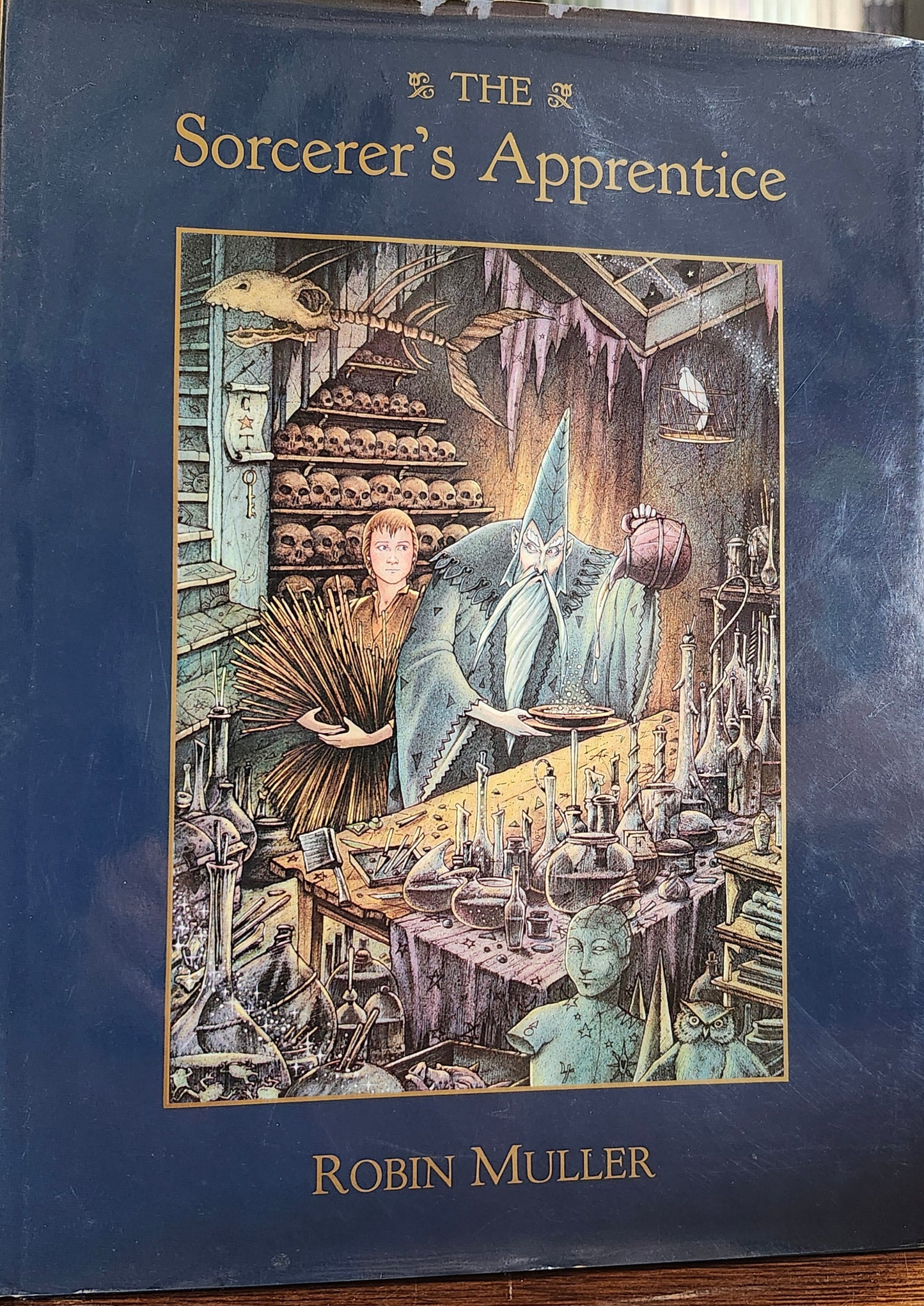"The Sorcerer's Apprentice" by Robin Muller