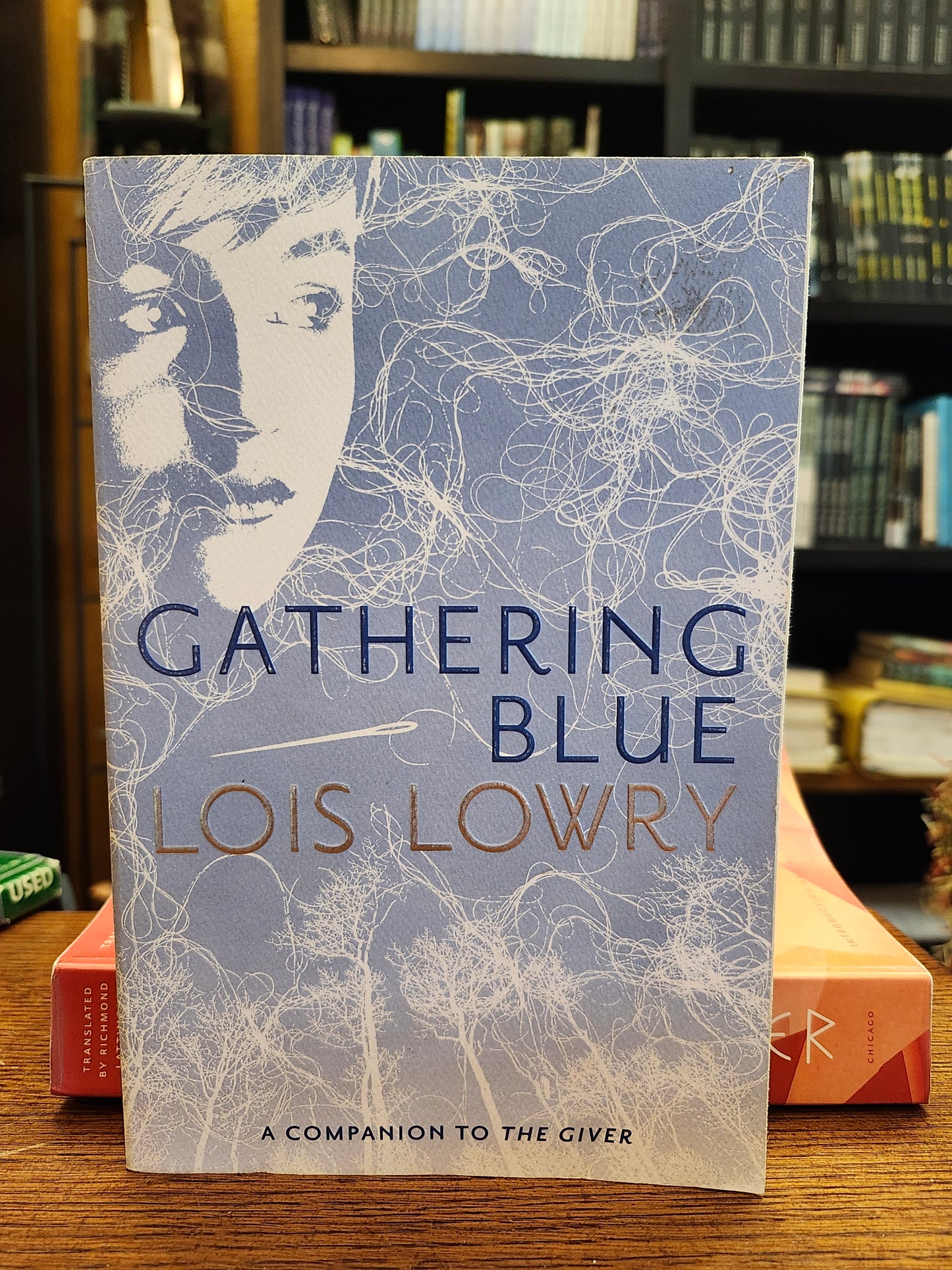 "Gathering Blue" by Lois Lowry (The Giver quartet, Book 2)