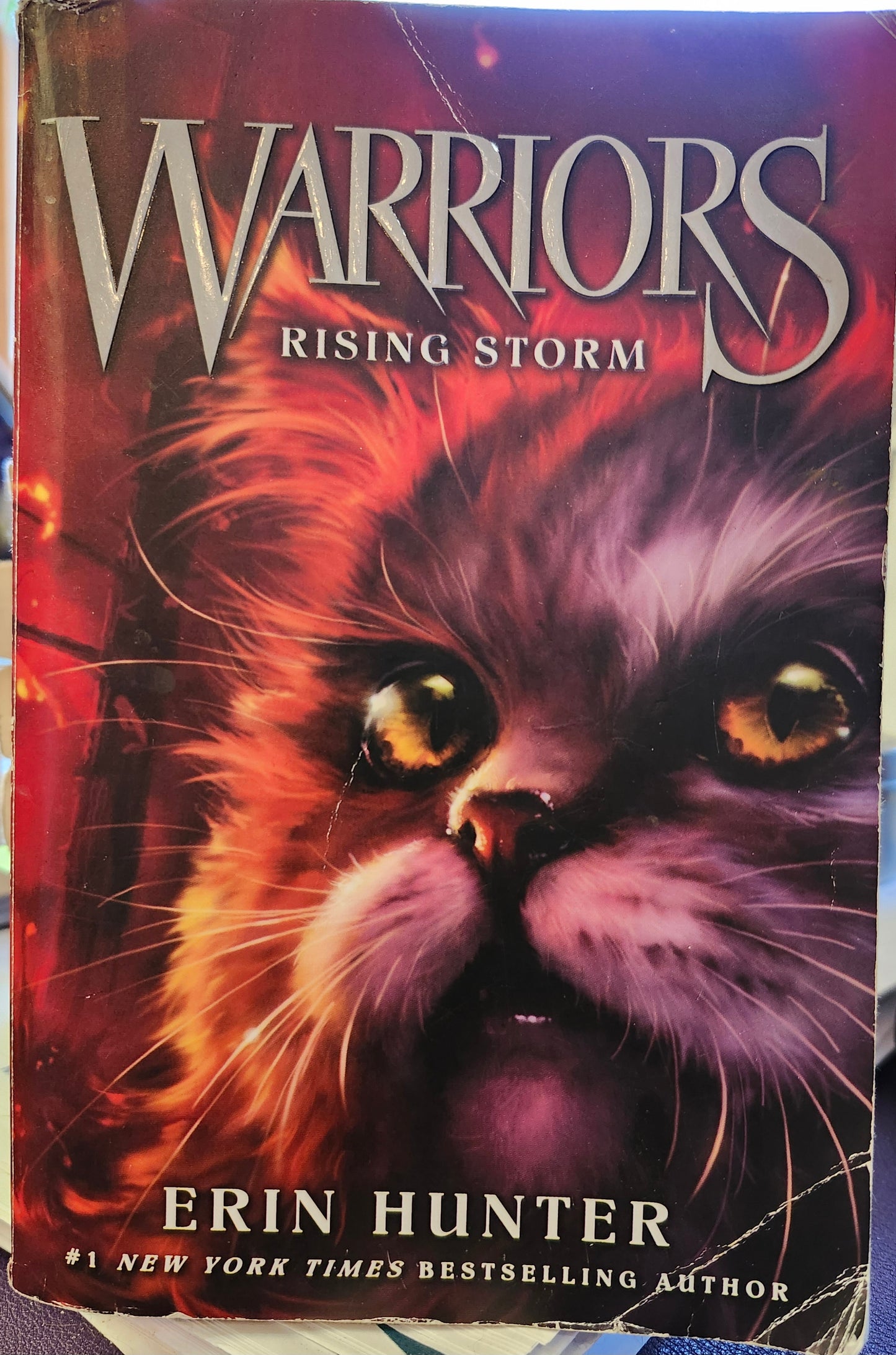 "Warriors #4: Rising Storm", (Warriors: The Prophecies Begin) by Erin Hunter (Author), Dave Stevenson (Illustrator)