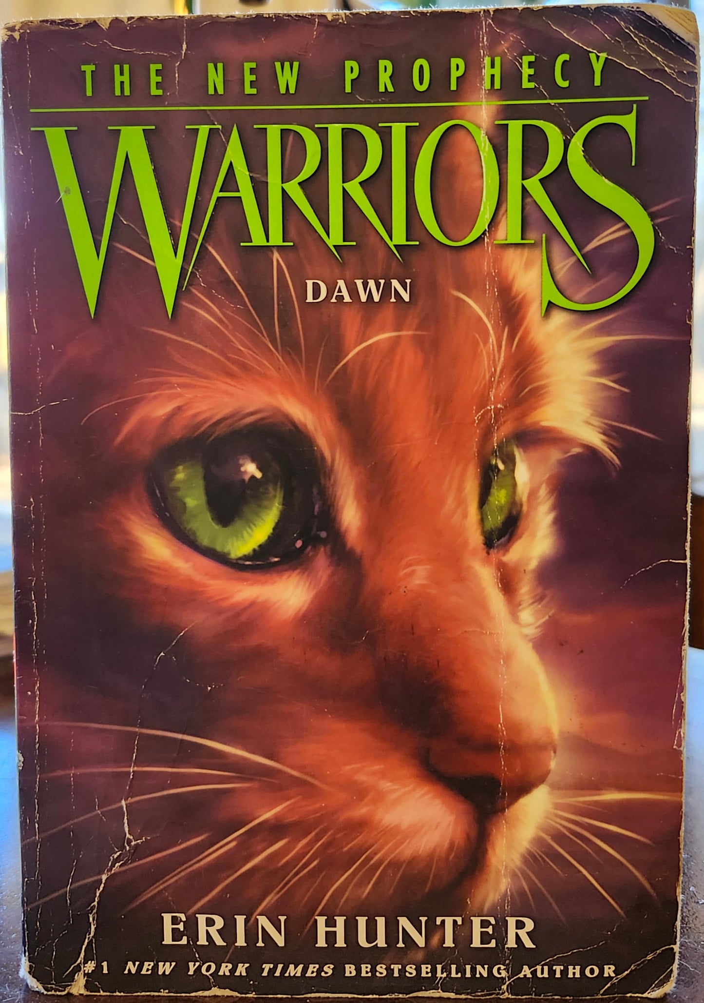 "Warriors: The New Prophecy #3: Dawn", by Erin Hunter (Author), Dave Stevenson (Illustrator) (Copy)