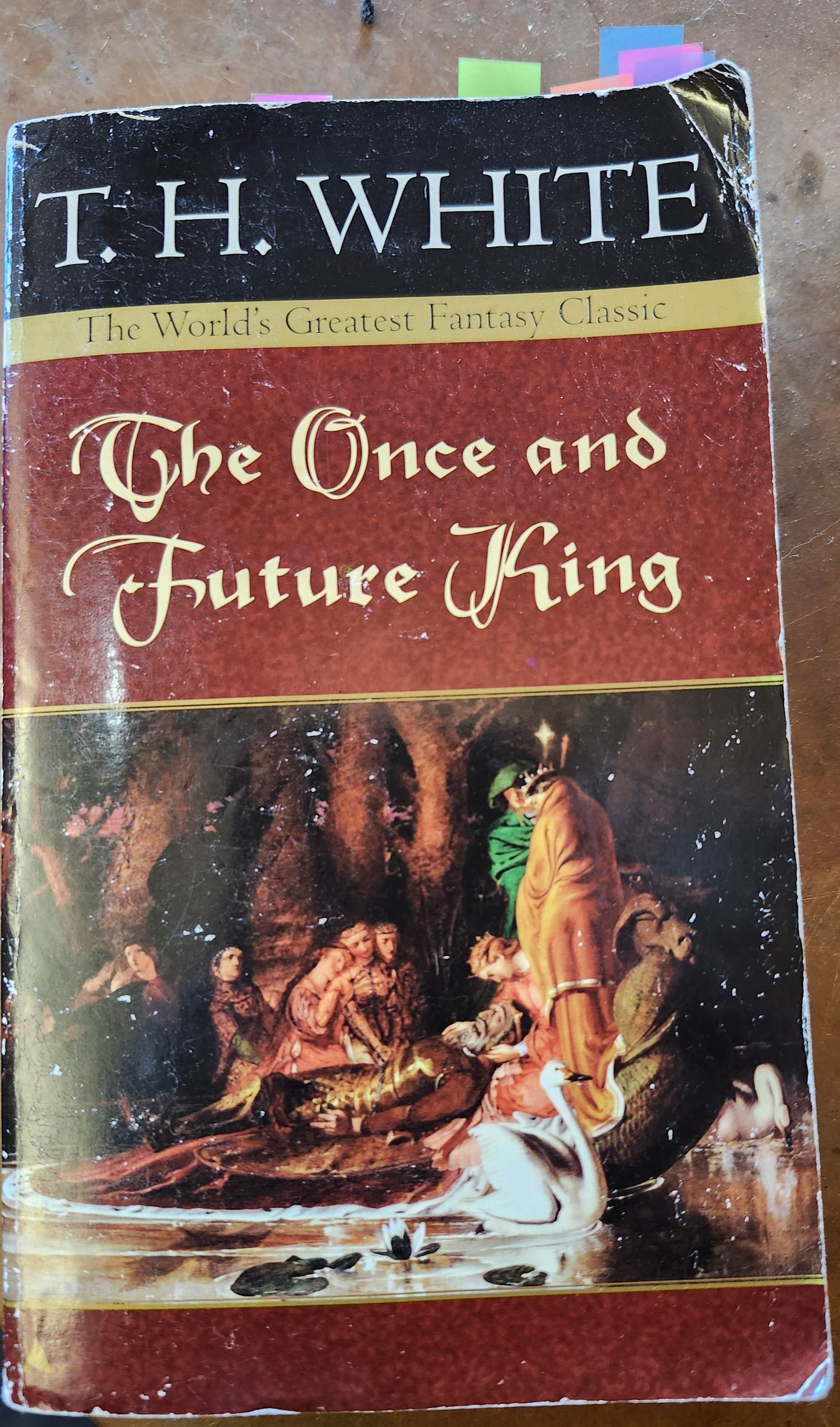 "The Once and Future King" by T. H. White