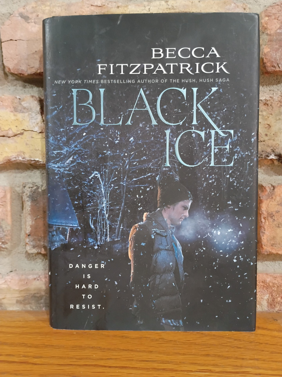 "Black Ice" by Becca Fitzpatrick