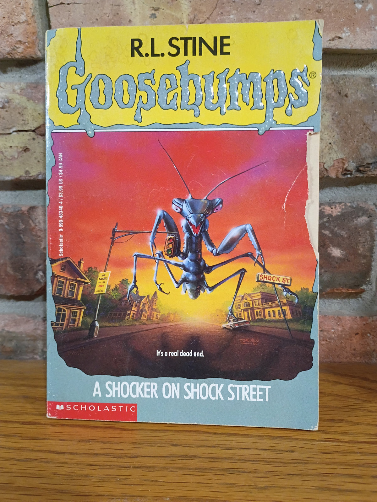 "Goosebumps, A Shocker on Shock Street" by R. L. Stine