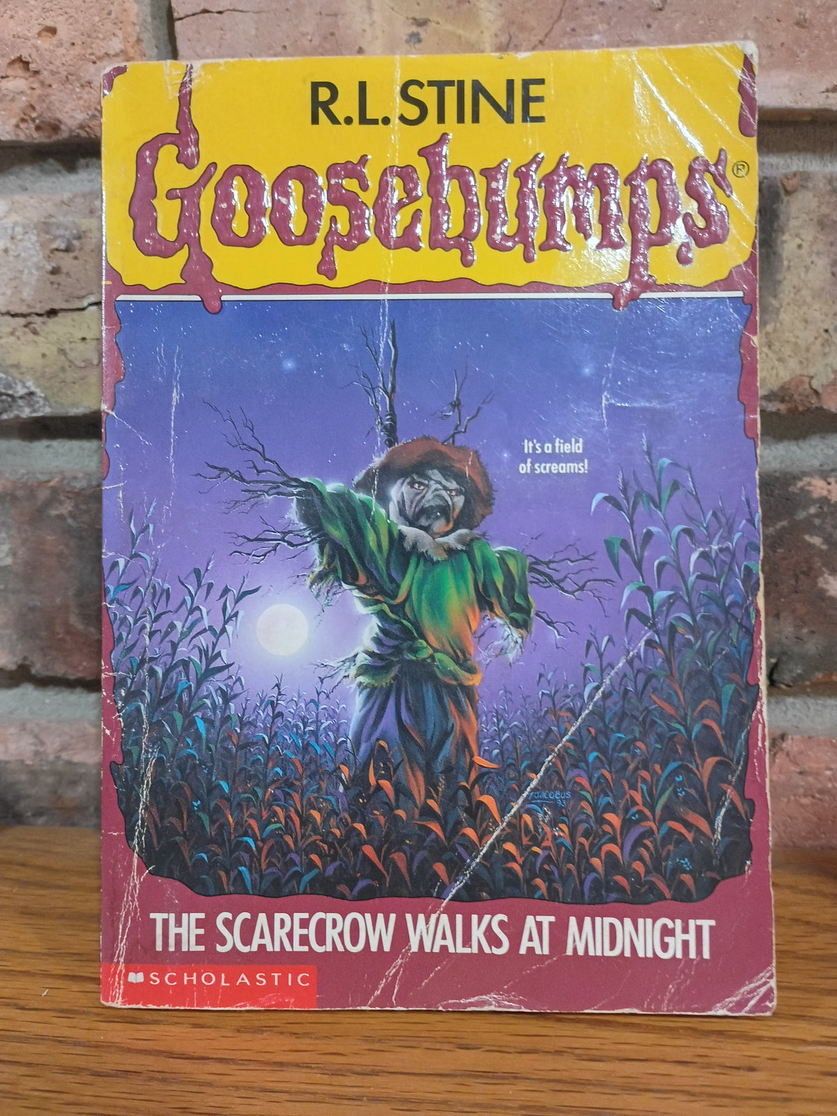 "Goosebumps, The Scarecrow Walks at Night" by R. L. Stine