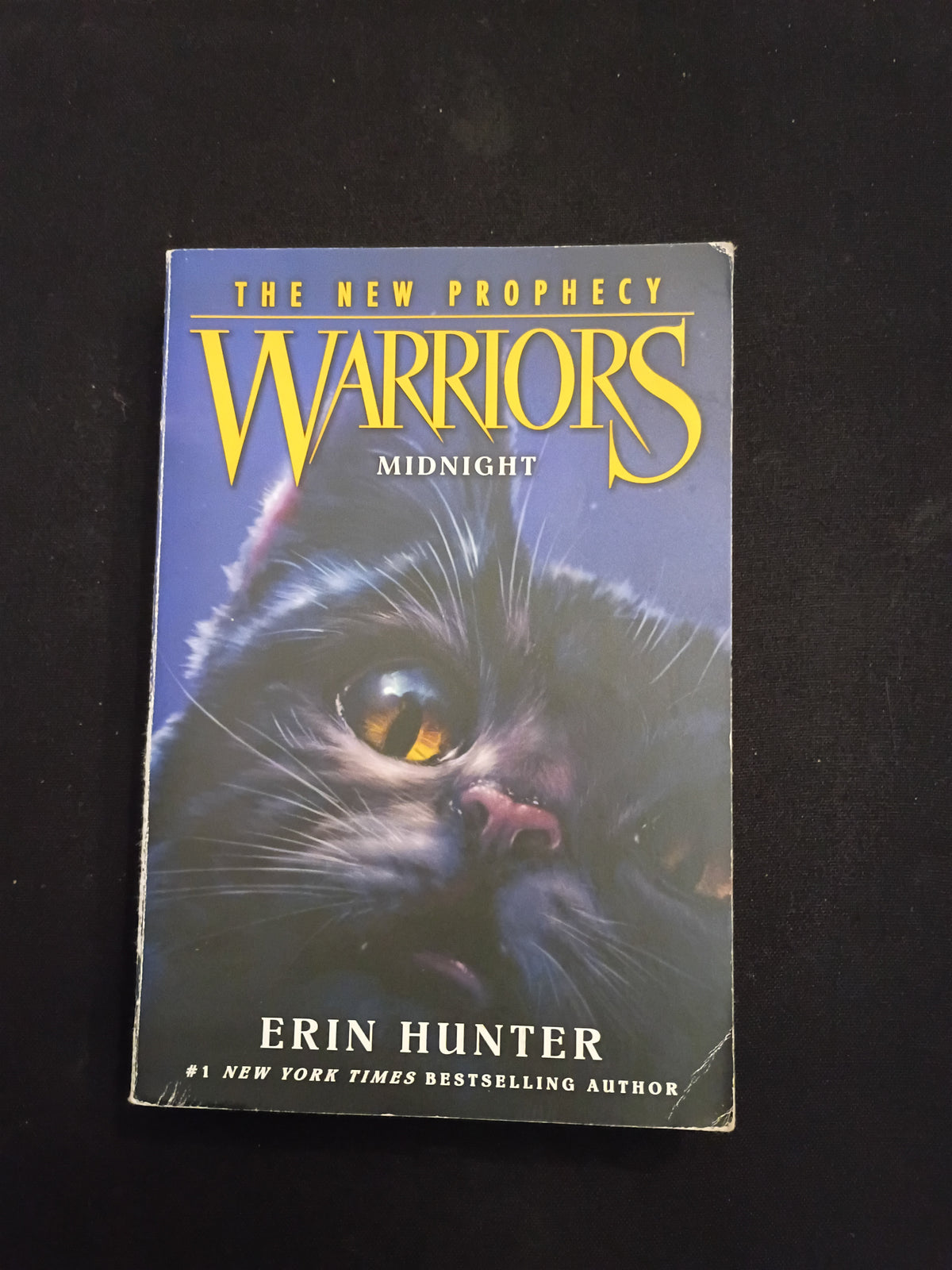 "Warriors: The New Prophecy #1: Midnight", by Erin Hunter (Author), Dave Stevenson (Illustrator)