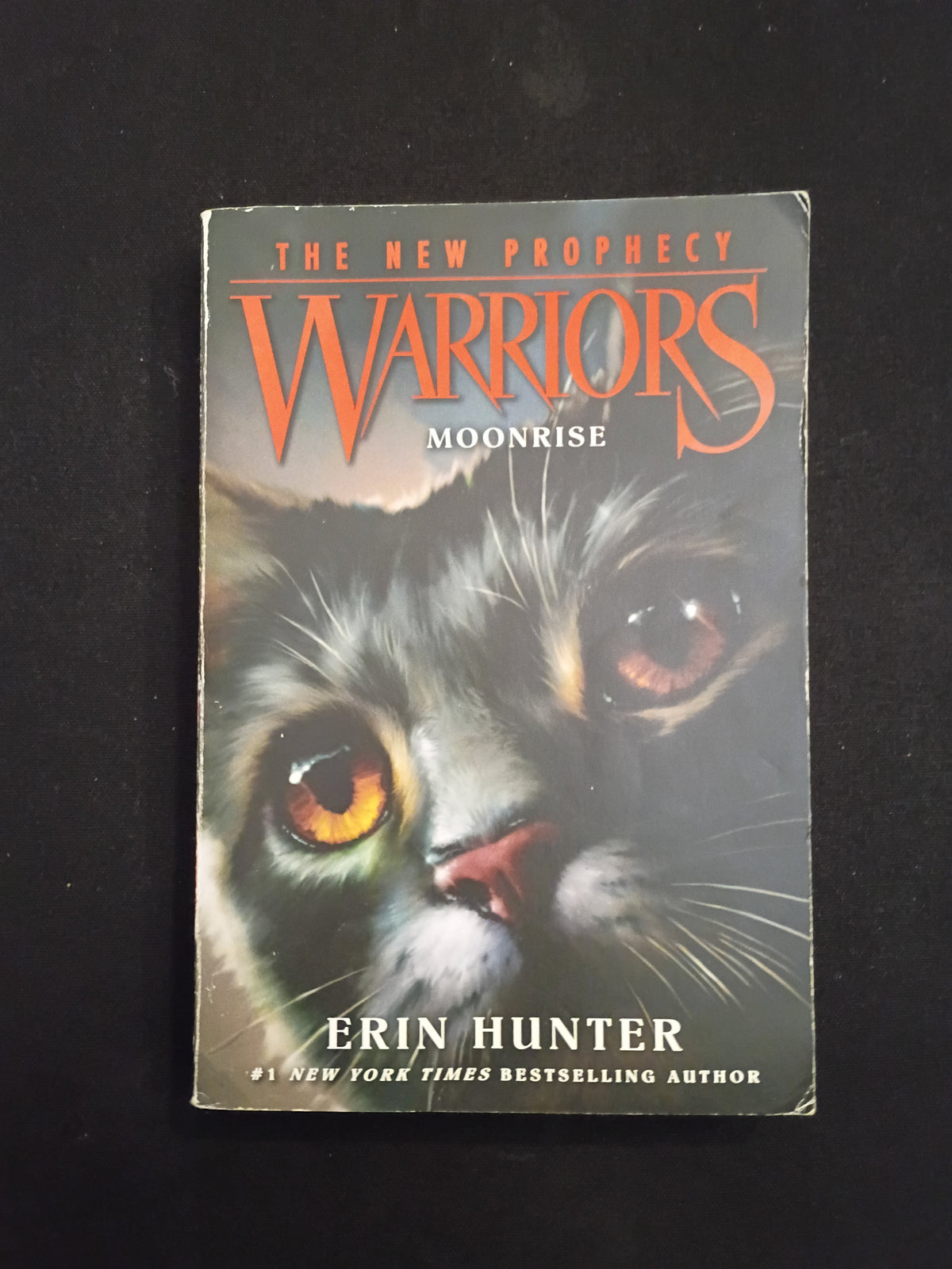 "Warriors: The New Prophecy #2: Moonrise", by Erin Hunter (Author), Dave Stevenson (Illustrator)