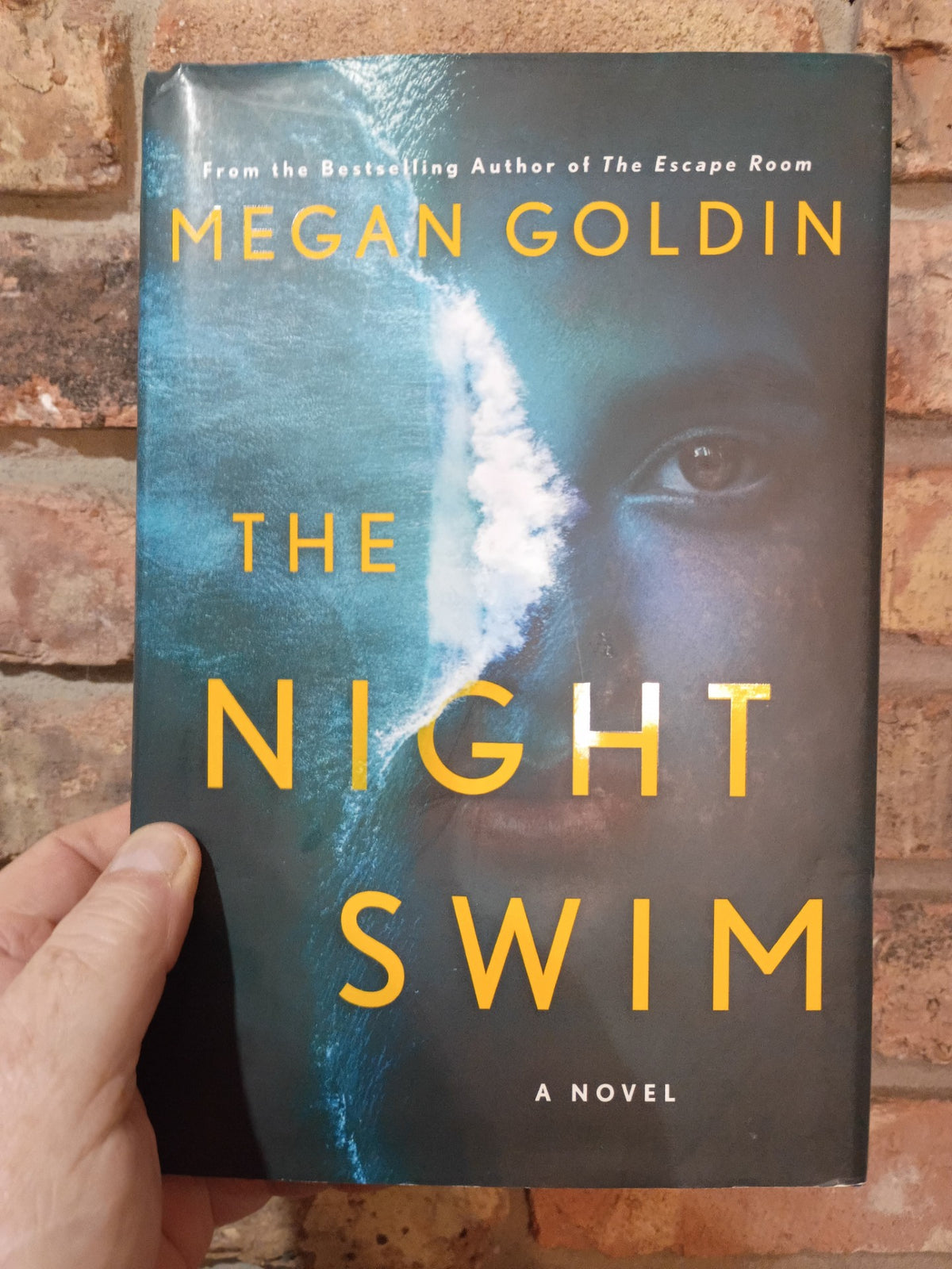 "The Night Swim" by Megan Goldin