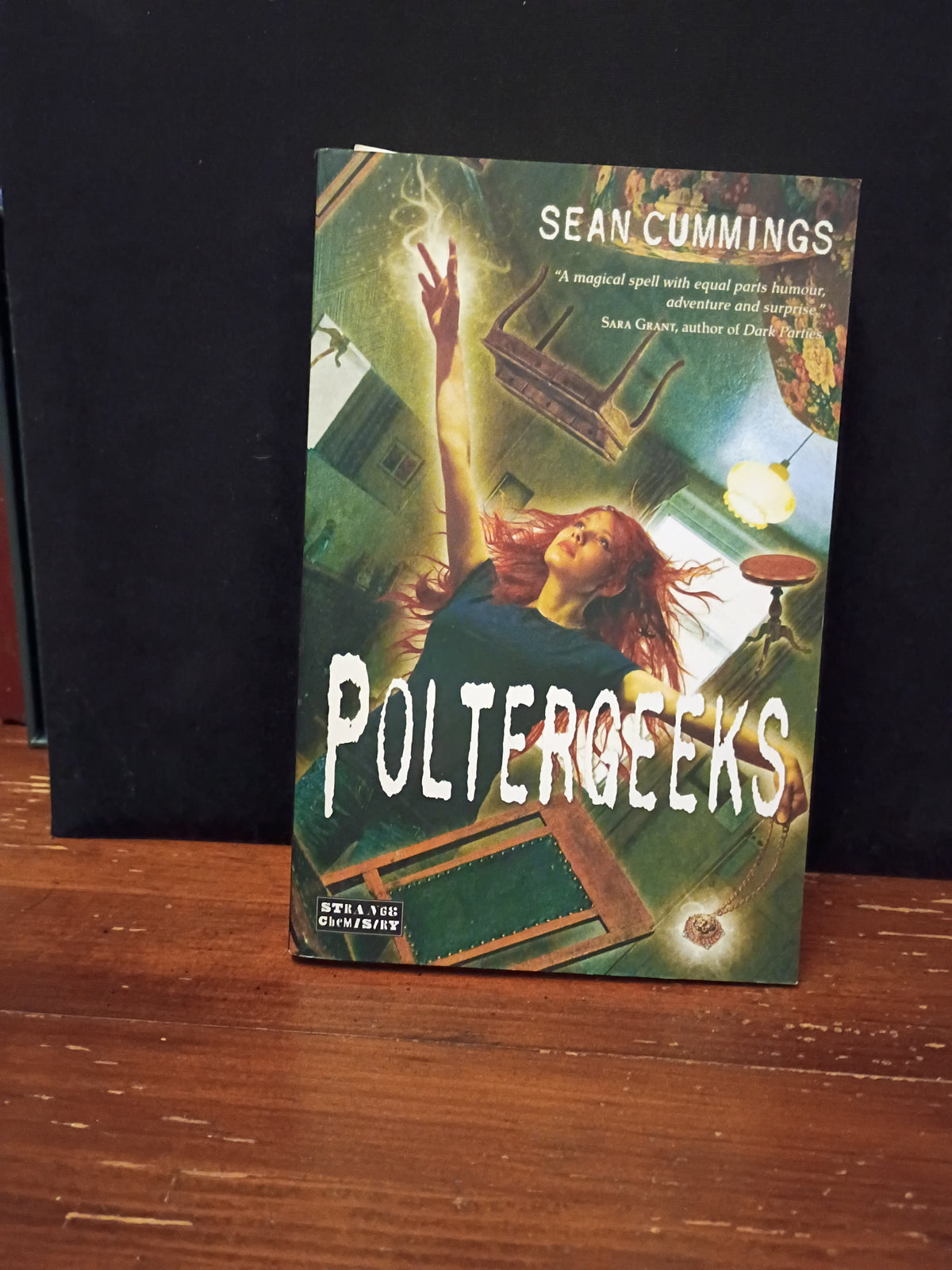 “Poltergeeks” by Sean Cummings