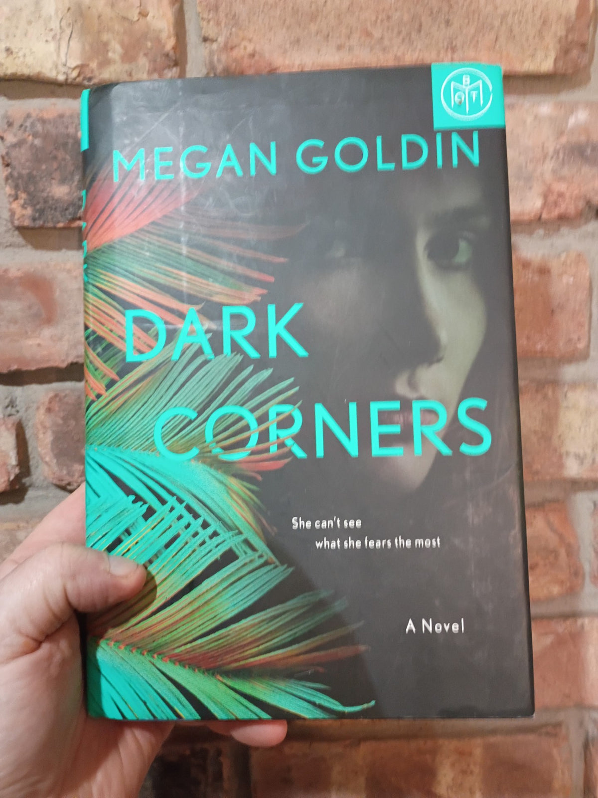 "Dark Corners" by Megan Goldin