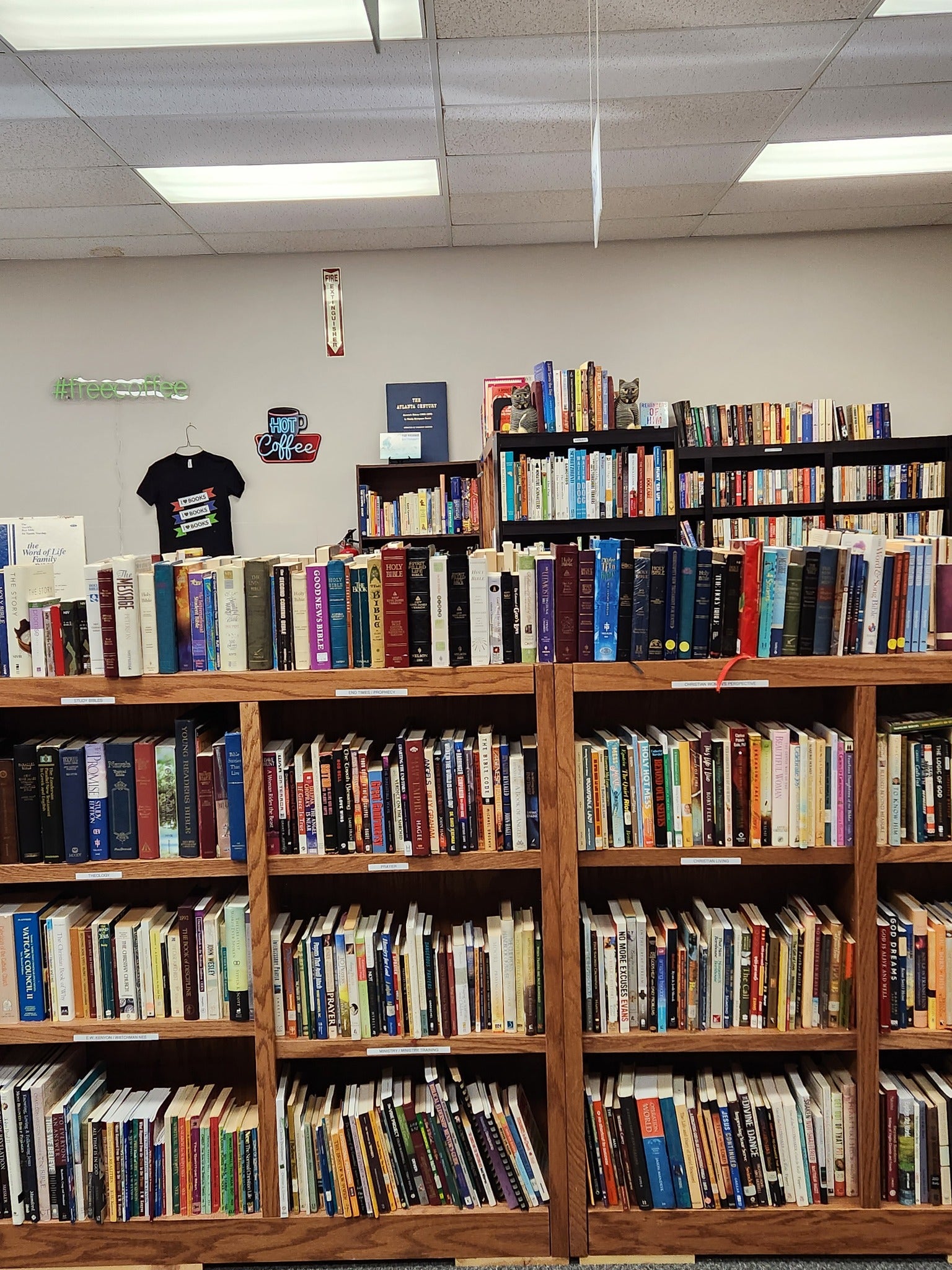 Bookshelves filled with books, and walls covered in merchandise. This is Dead Tree Dreams!