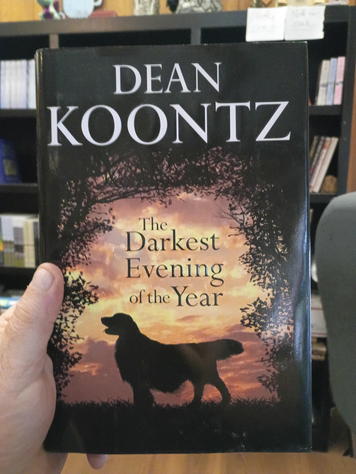 "The Darkest Evening of the Year" by Dean Koontz