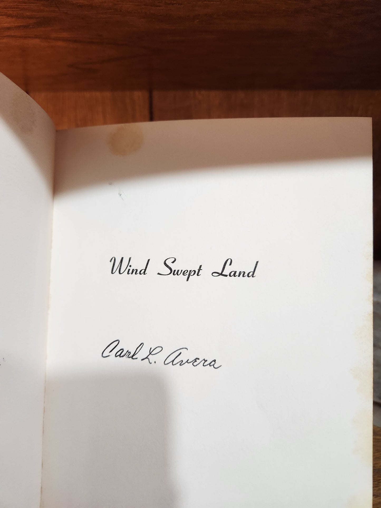 "Wind Swept Land" by Carl L Avera, Signed by the author.