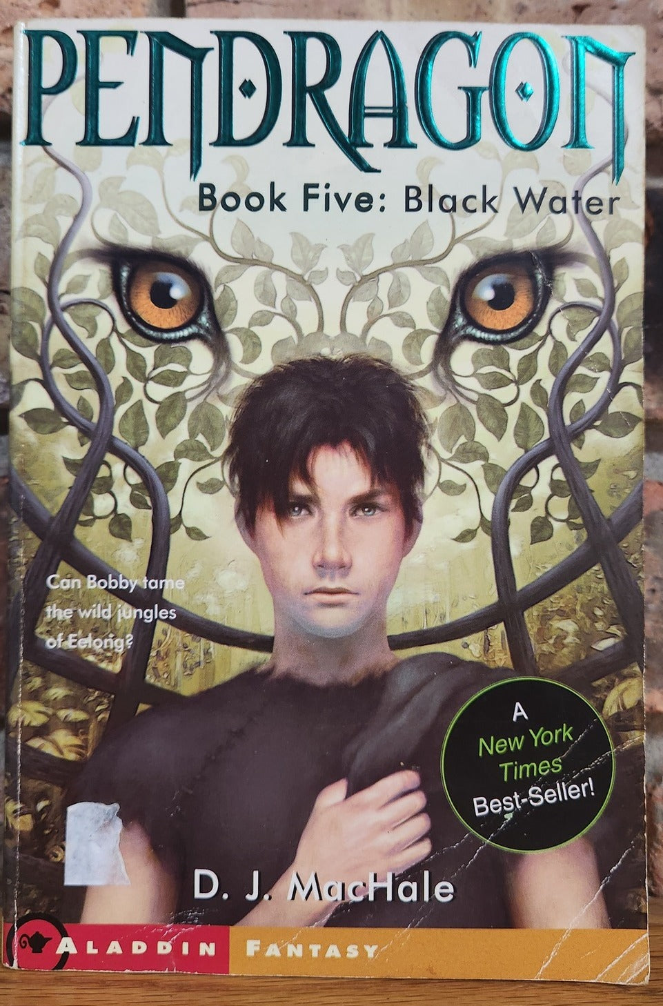 Black Water (Pendragon #5) by D.J. MacHale (Author) Paperback