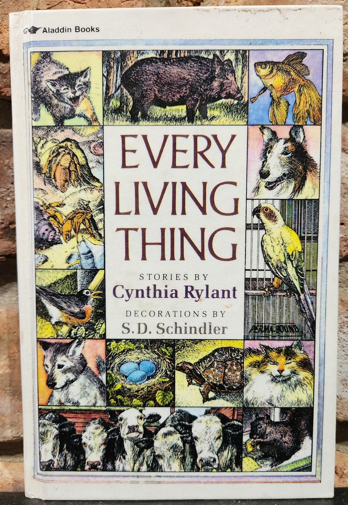 "Every Living Thing" Hardcover: by Cynthia Rylant (Author), S.D. Schindler (Illustrator)