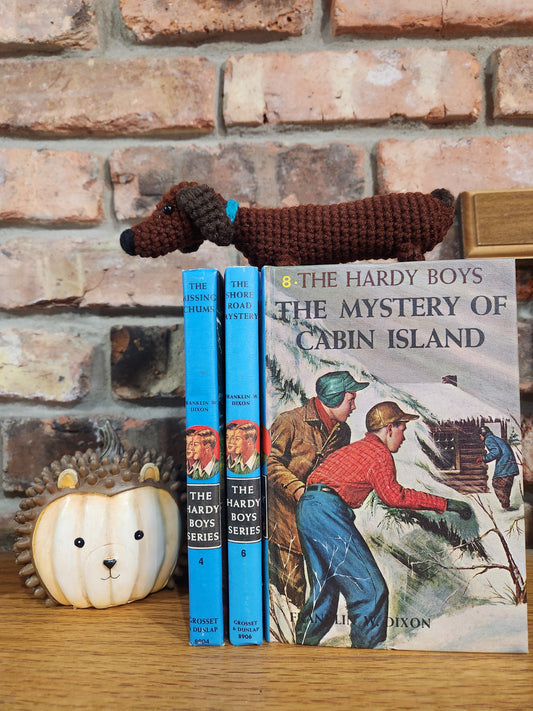 The Hardy Boys, "The Mystery of Cabin Island" by Franklin Dixon.