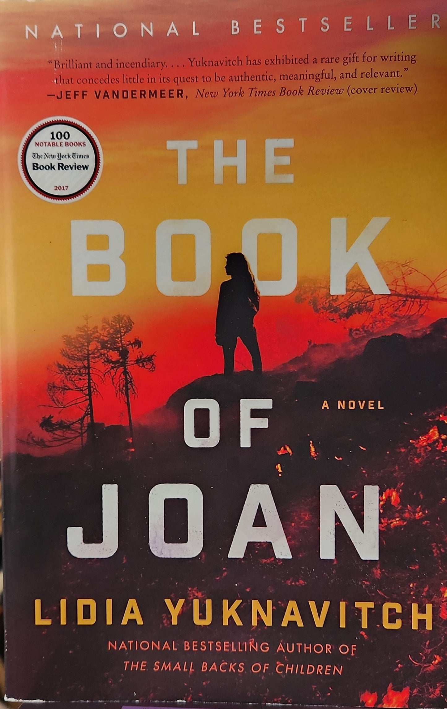 The Book of Joan: A Novel Paperback by Lidia Yuknavitch (Author)