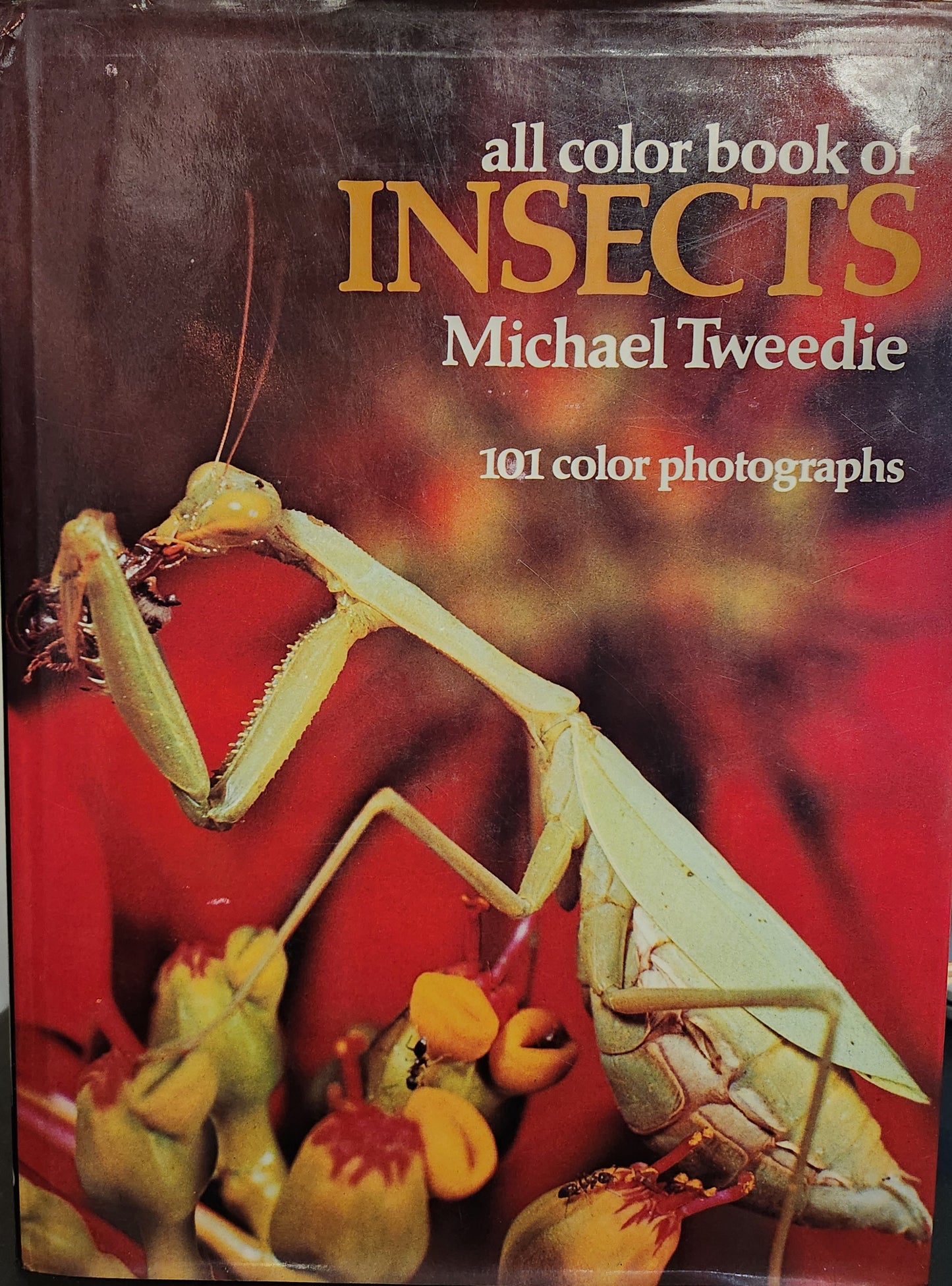 "all color book of Insects": by Michael Tweedie