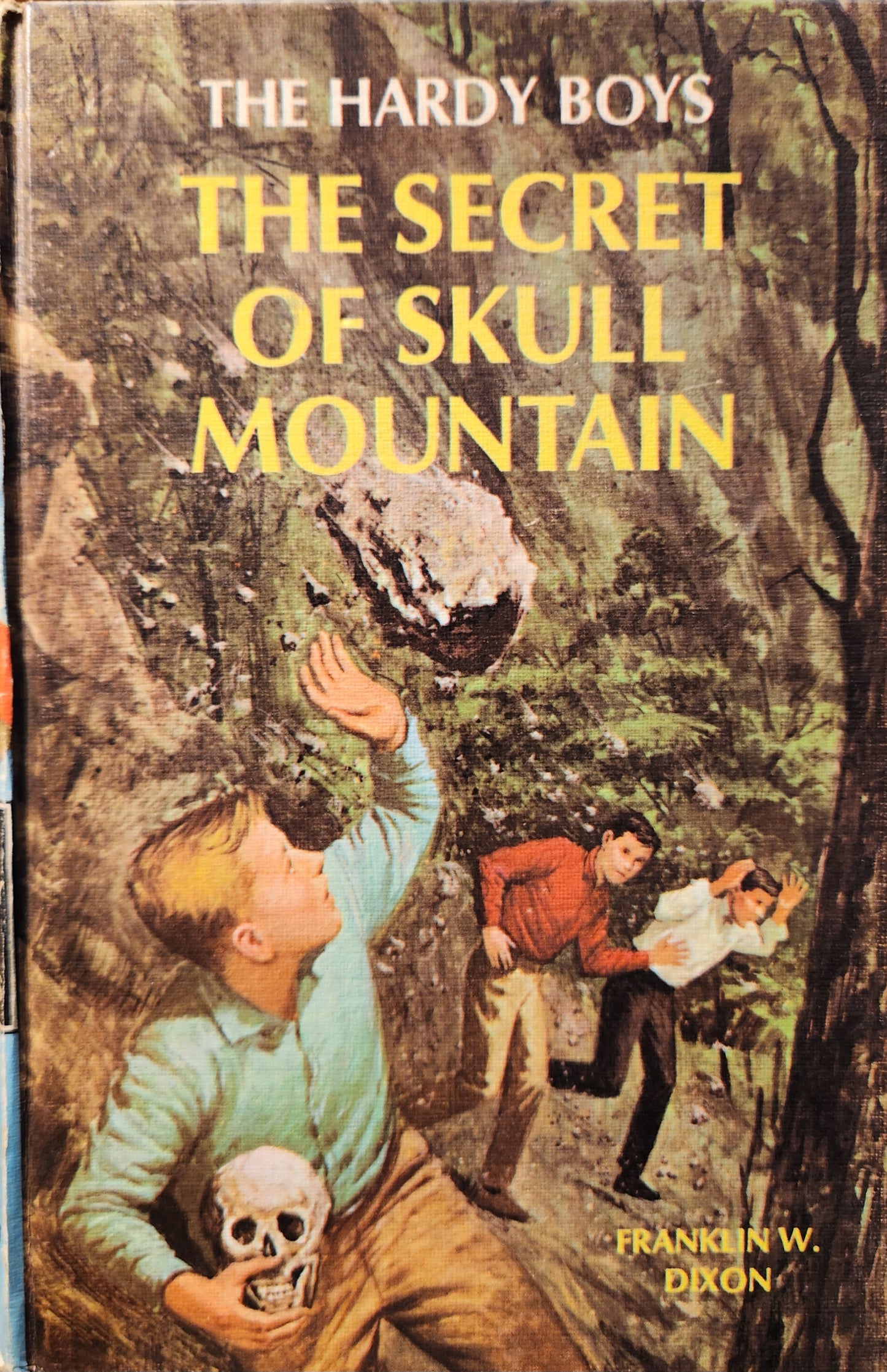 "The Secret of Skull Mountain" The Hardy Boys #27 by Franklin W. Dixon