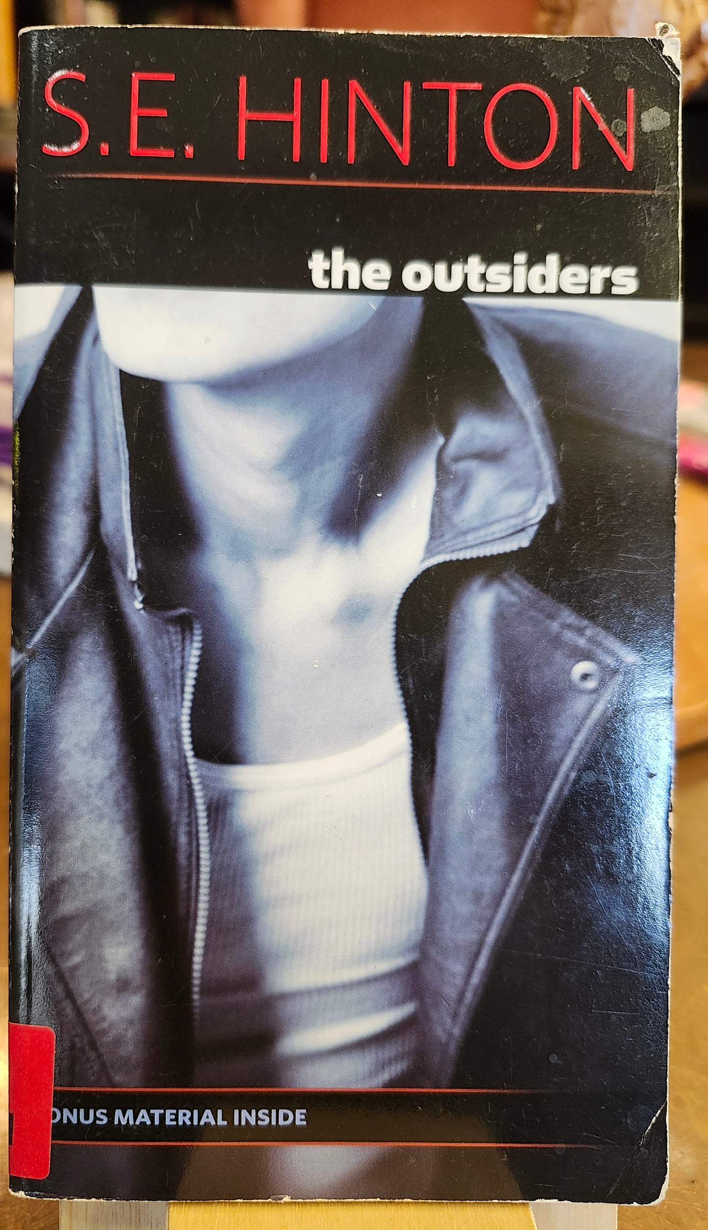 "The Outsiders" by S. E. Hinton