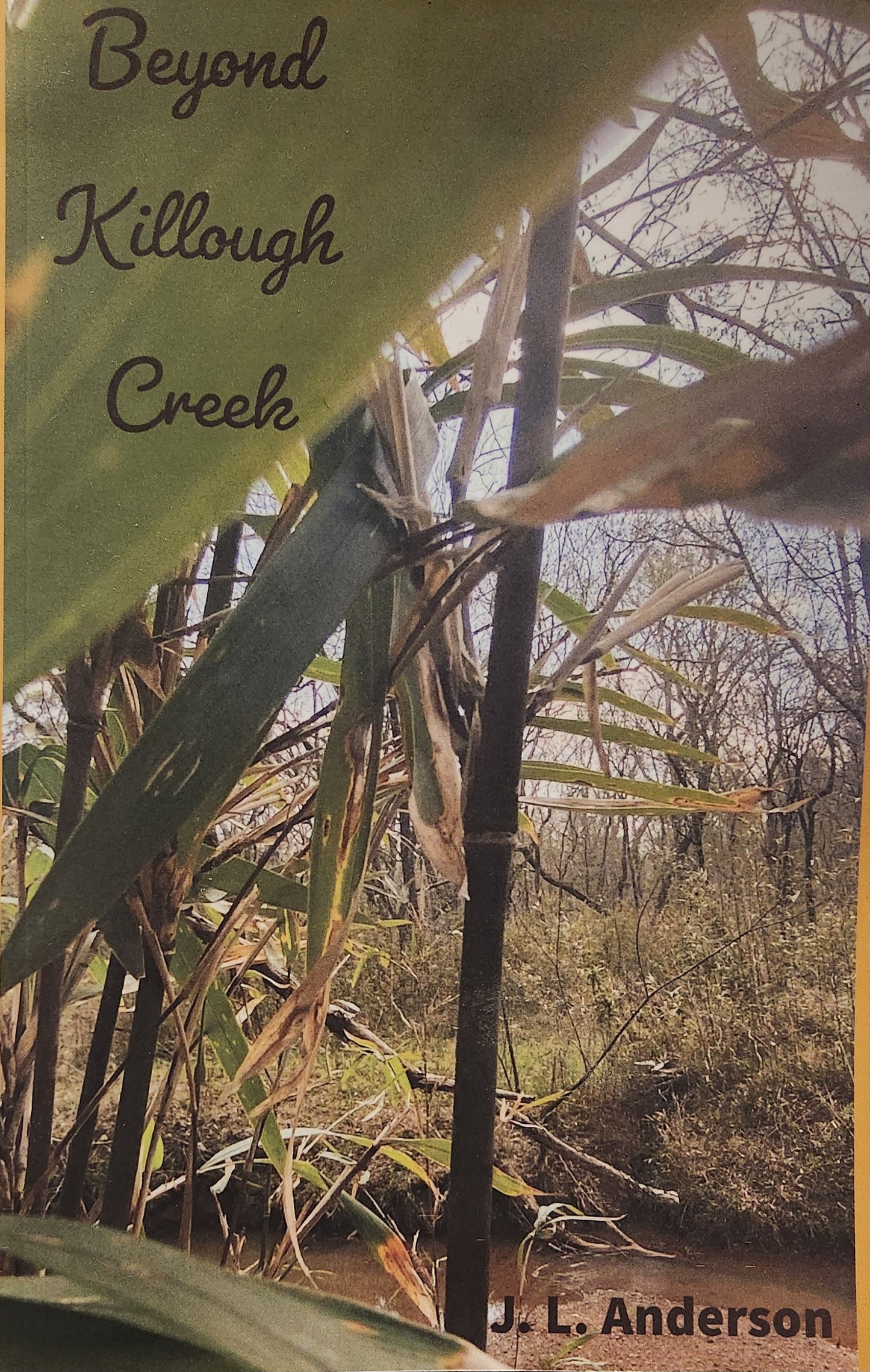 "Beyond Killough Creek" by J. L. Anderson