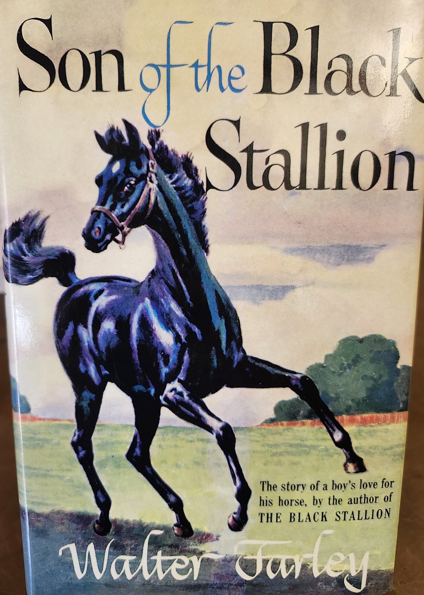 "Son of the Black Stallion" by Walter Farley (Book Three of the Black Stallion Series)