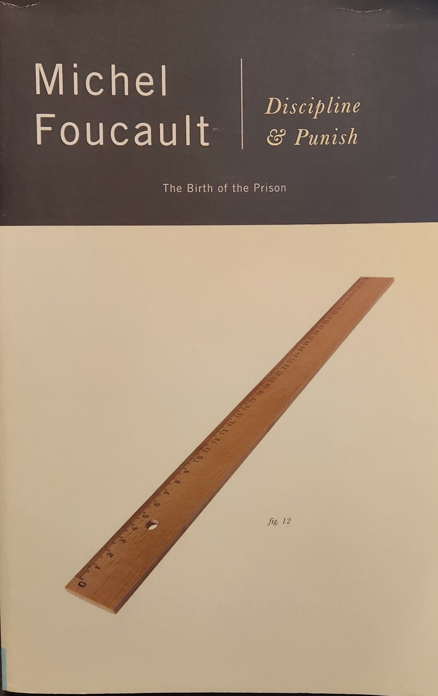 "Discipline & Punish: The Birth of the Prison" by Michel Foucault