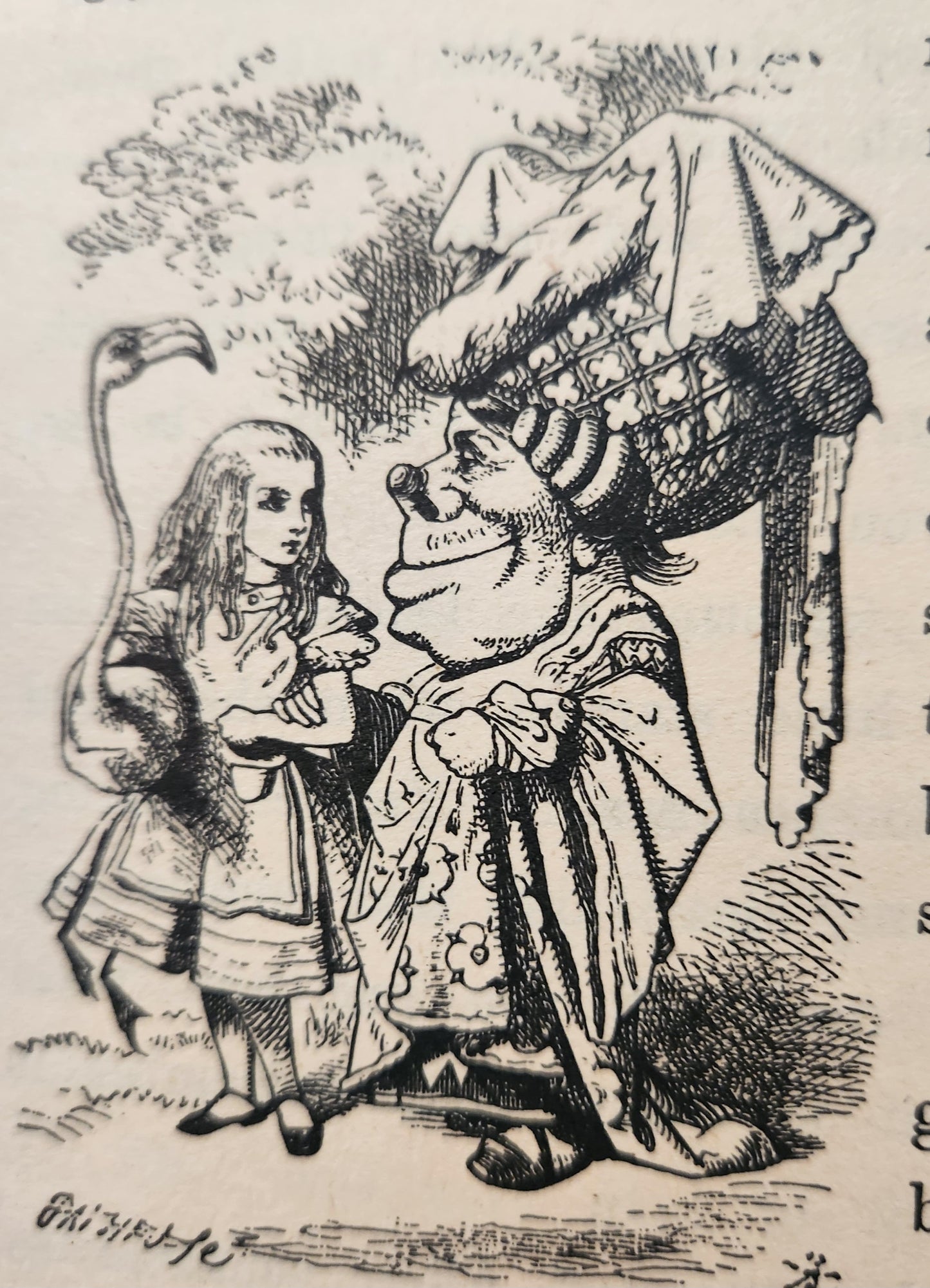 "Alice's Adventures in Wonderland" by Lewis Carrol, Illustrated by John Tenniel