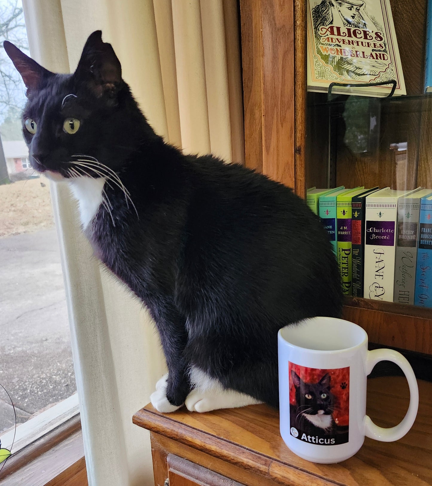 Atticus dtd Coffee Mug. New Photo, new mug design