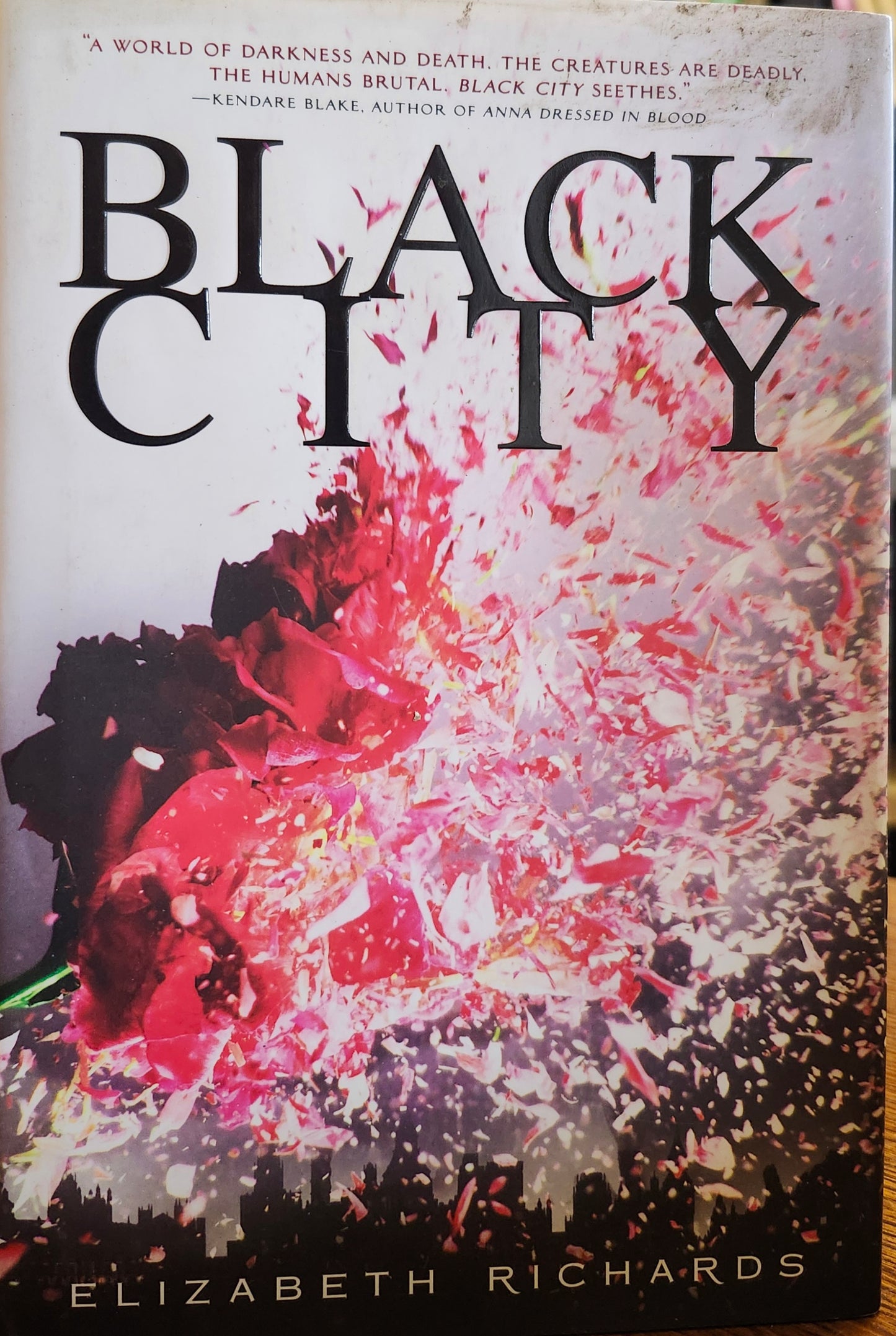 Black City by Elizabeth Richards