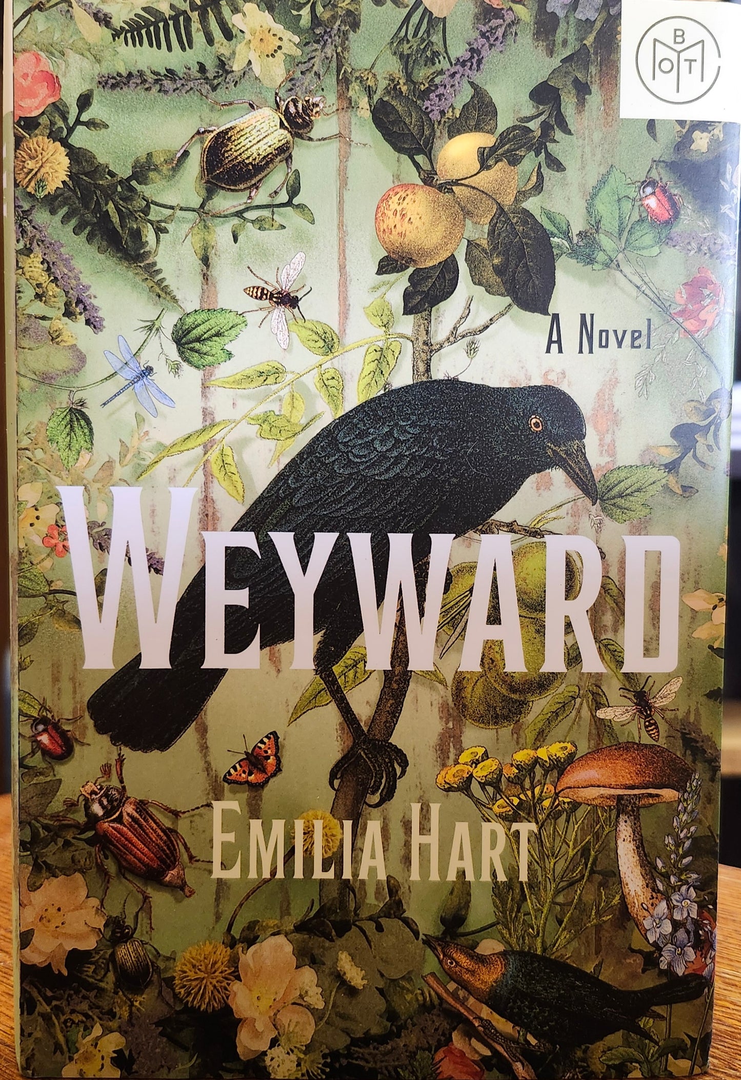 Weyward by Emilia Hart