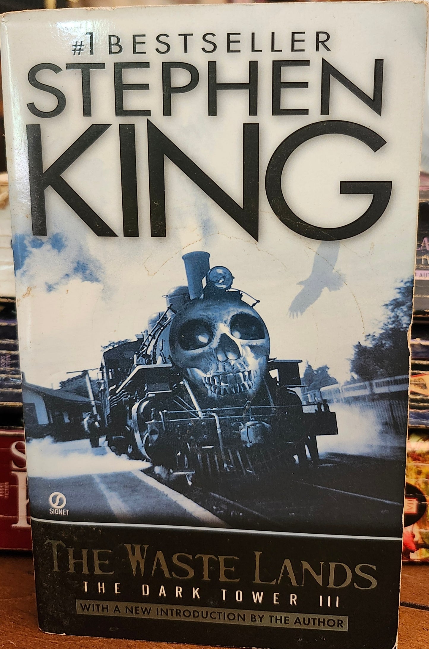 "The Waste Lands" by Stephen King (The Dark Tower, Book 3)