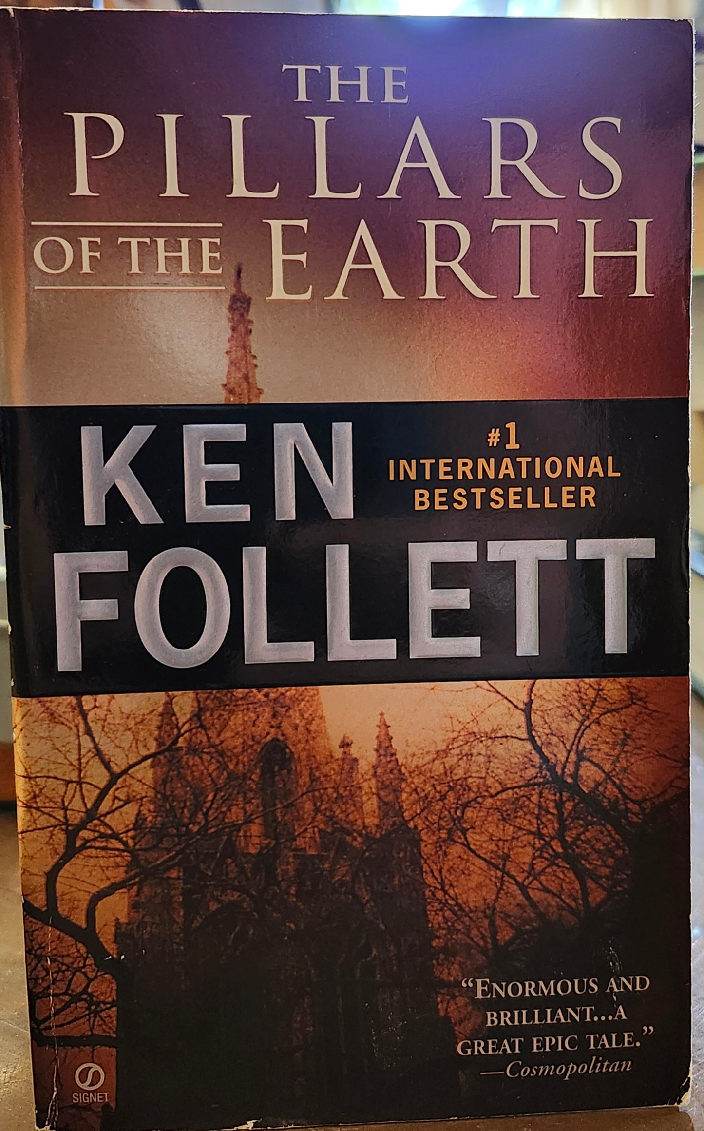 "Pillars of the Earth" by Ken Follett (Kingsbridge, Book 1)