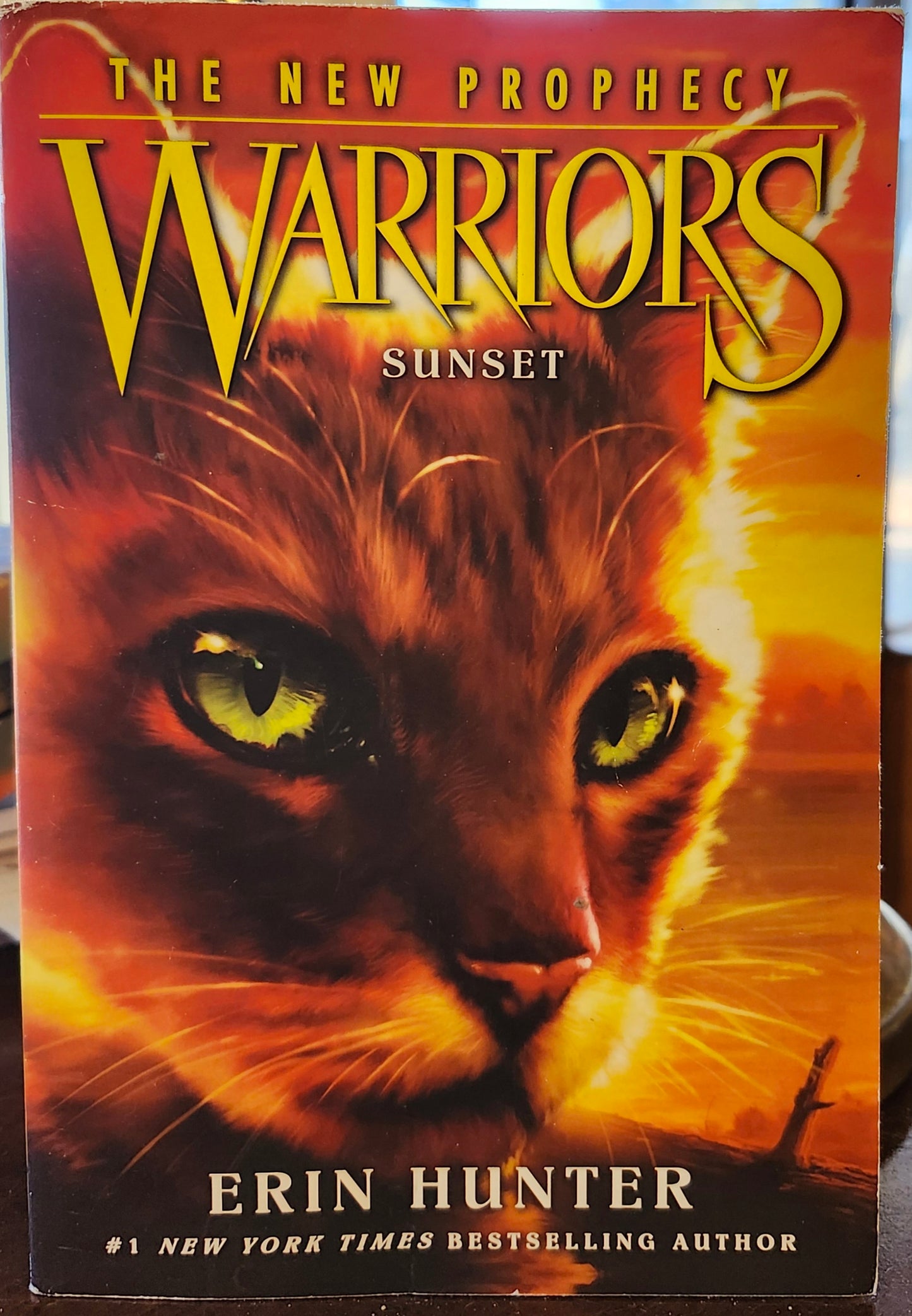 "Warriors: The New Prophecy #6: Sunset", by Erin Hunter (Author), Dave Stevenson (Illustrator)