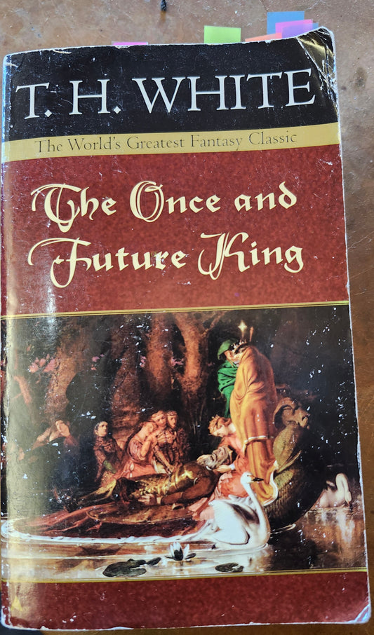 "The Once and Future King" by T. H. White