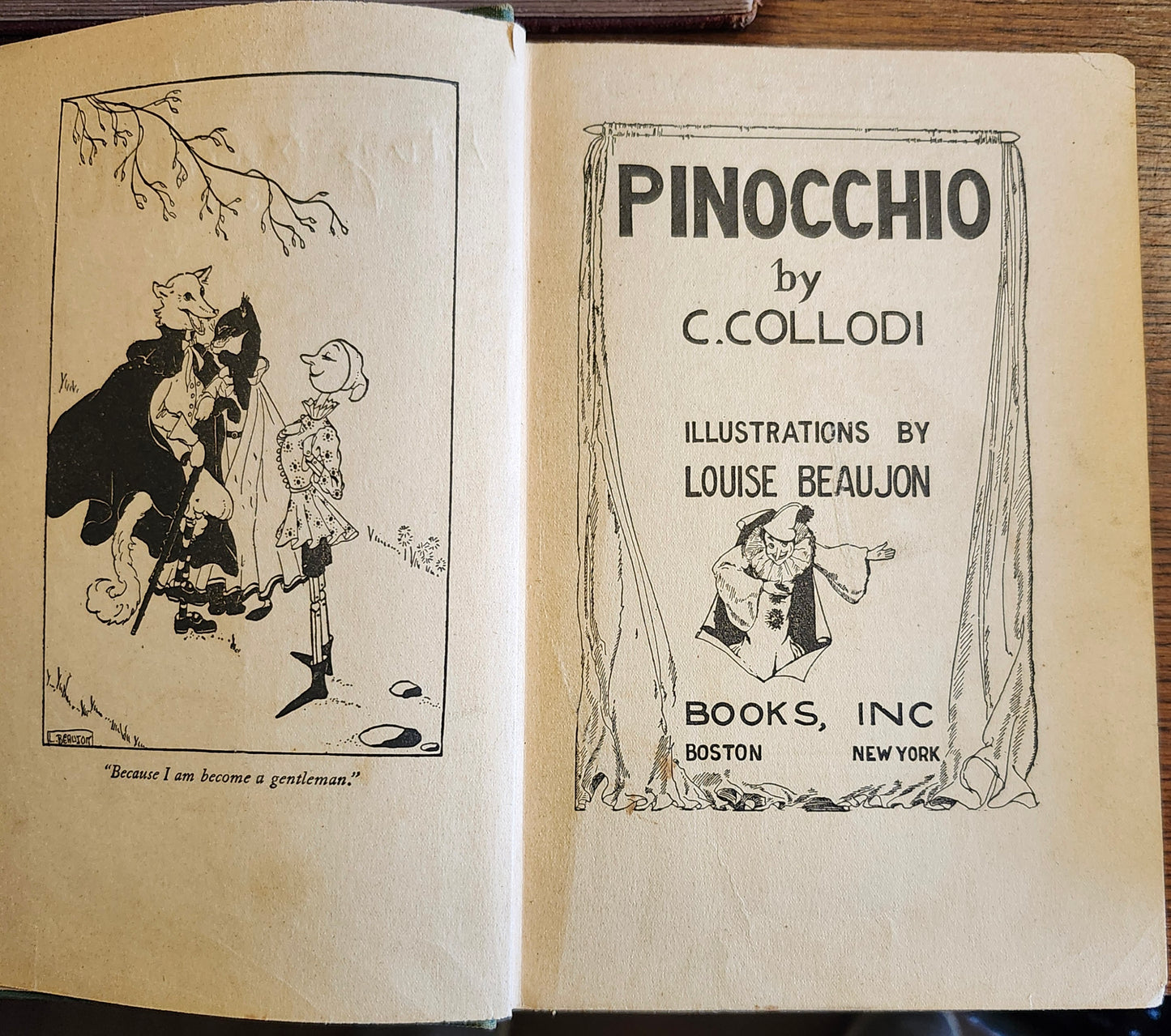 Junior Library Collection by various authors