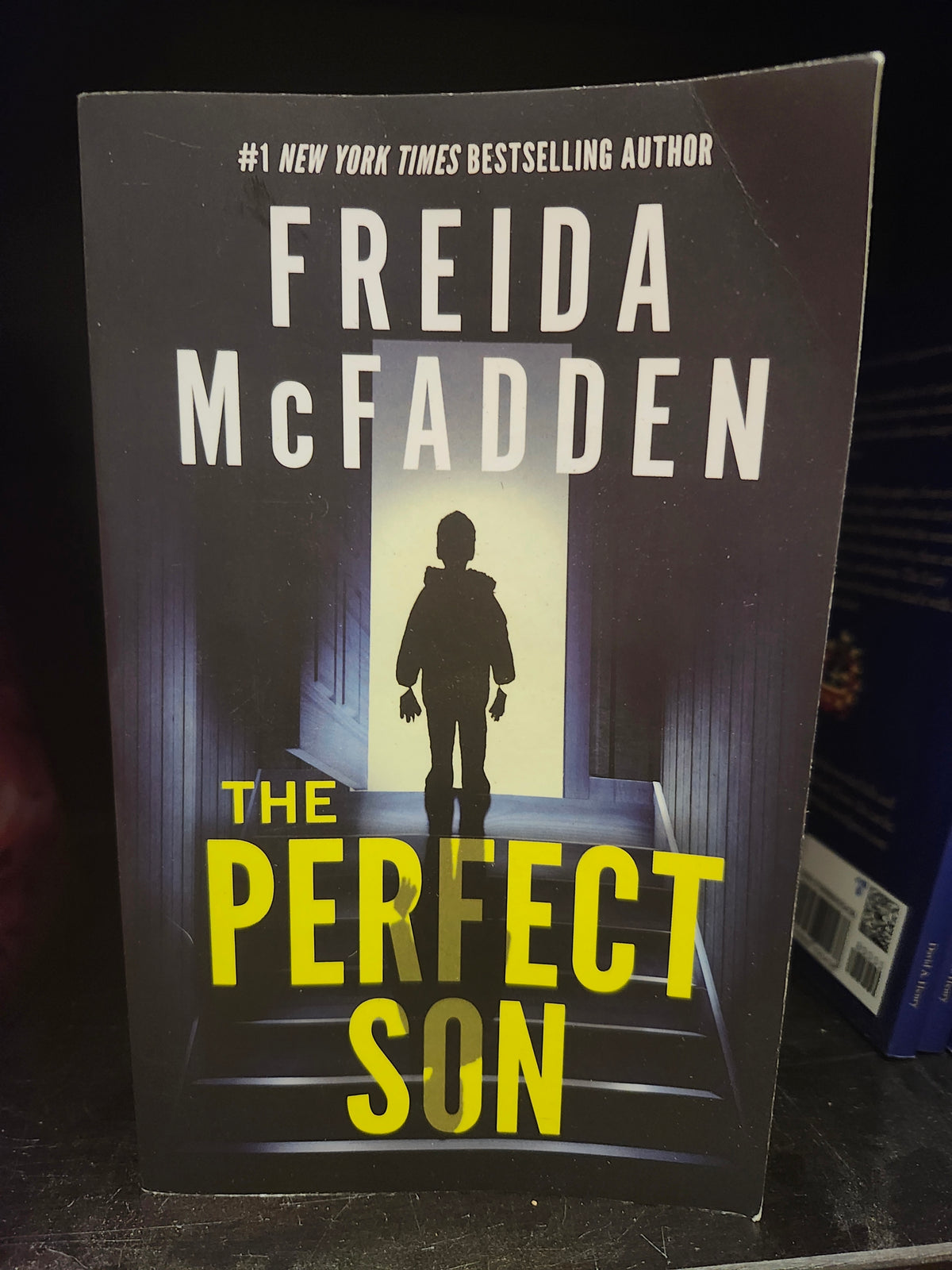 "The Perfect Son" by Freida McFadden