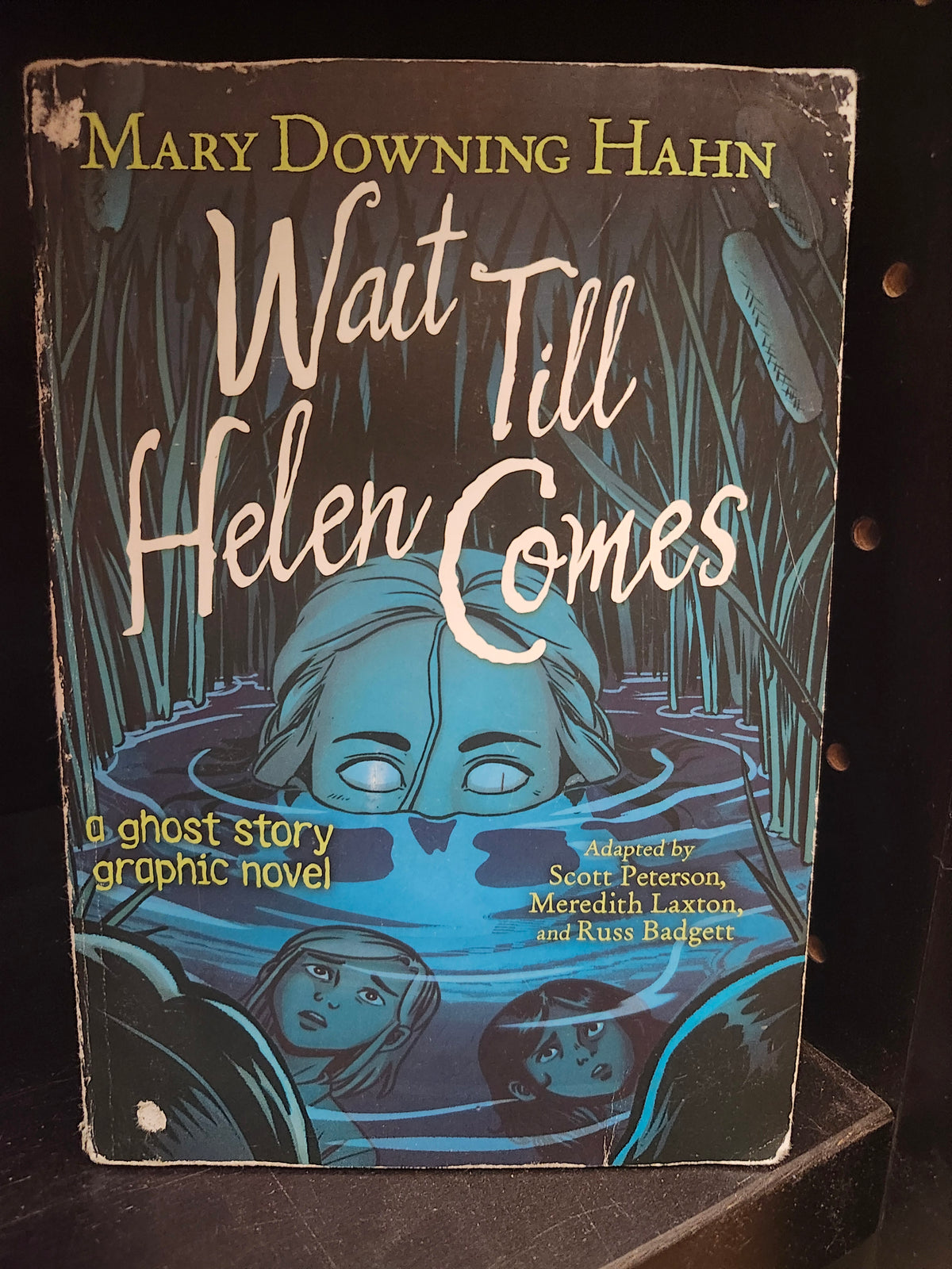 "Wait Till Helen Comes: A Ghost Story Graphic Novel" by Mary Downing Hahn