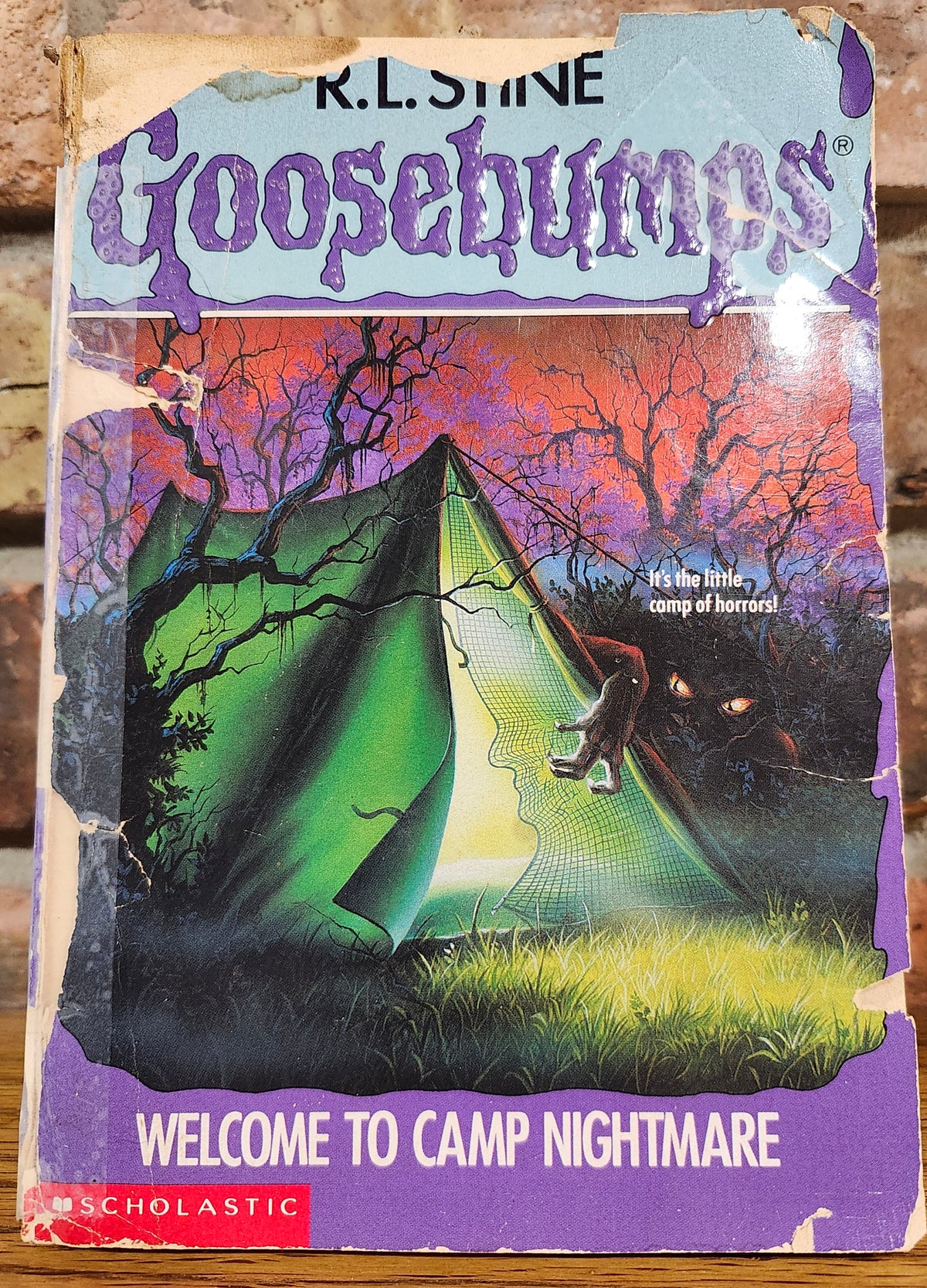 "Goosebumps, Welcome to Camp Nightmare" by R. L. Stine