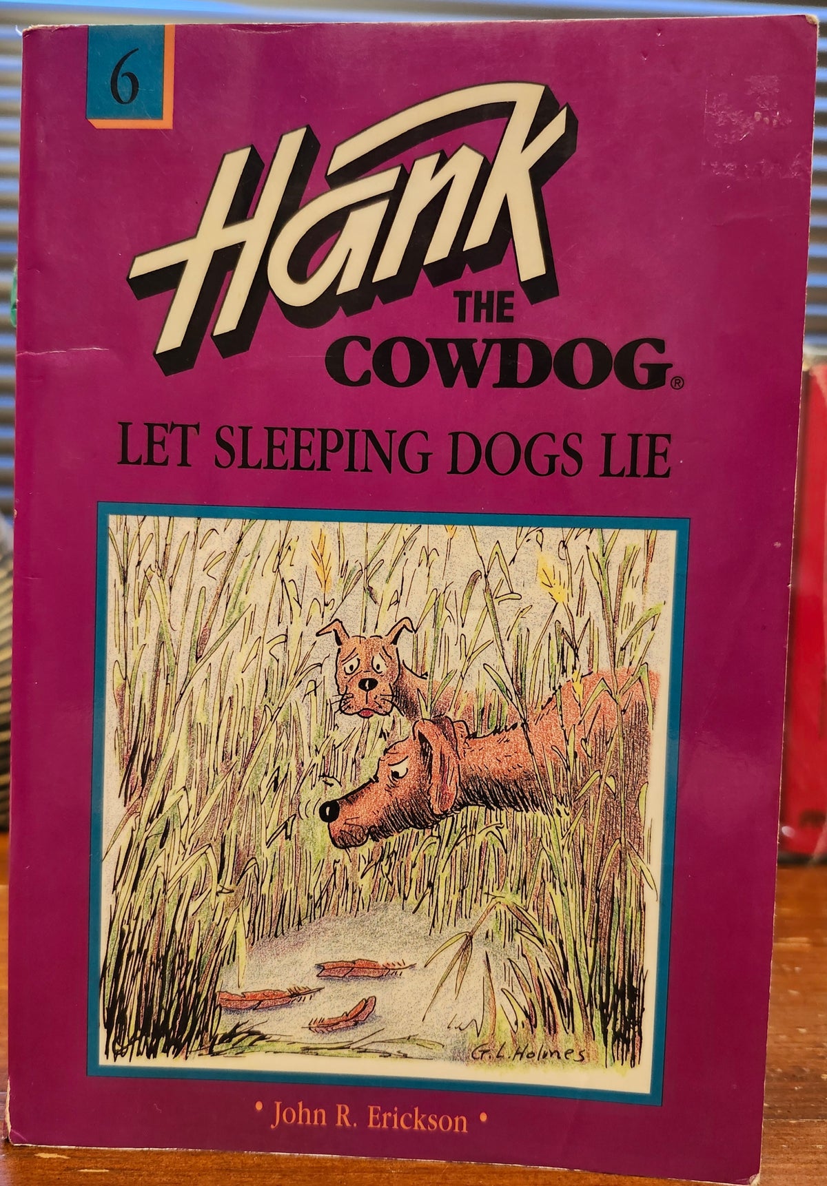 "Hank the Cowdog: Let Sleeping Dogs Lie" by John Erickson (Book 6)