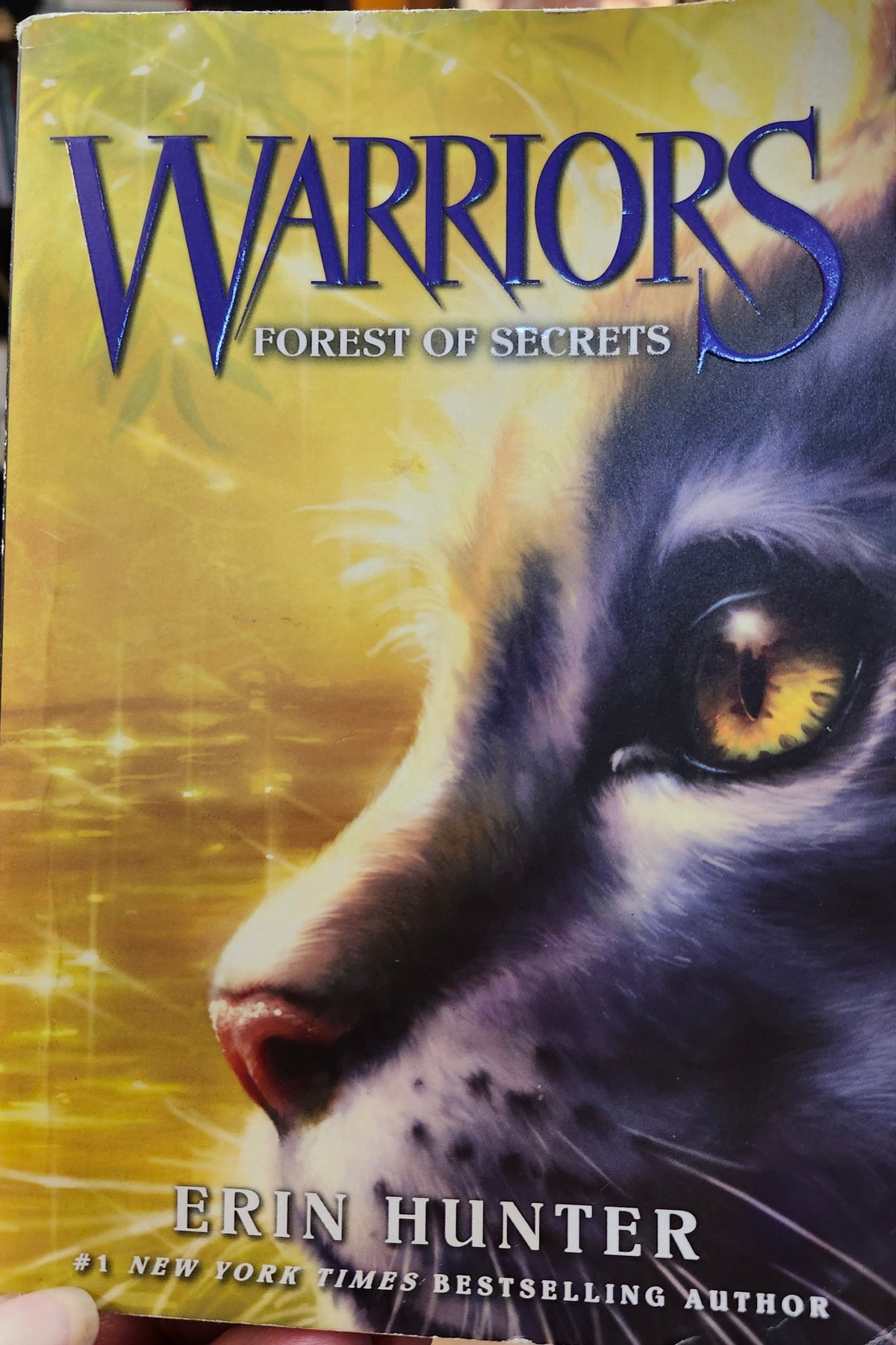 "Warriors #3: Forest of Secrets", (Warriors: The Prophesies Begin) by Erin Hunter (Author), Dave Stevenson (Illustrator)