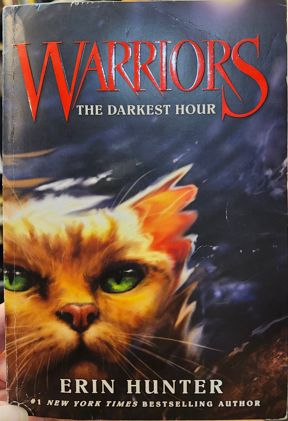 "Warriors #6: The Darkest Hour", (Warriors: The Prophesies Begin) by Erin Hunter (Author), Dave Stevenson (Illustrator)