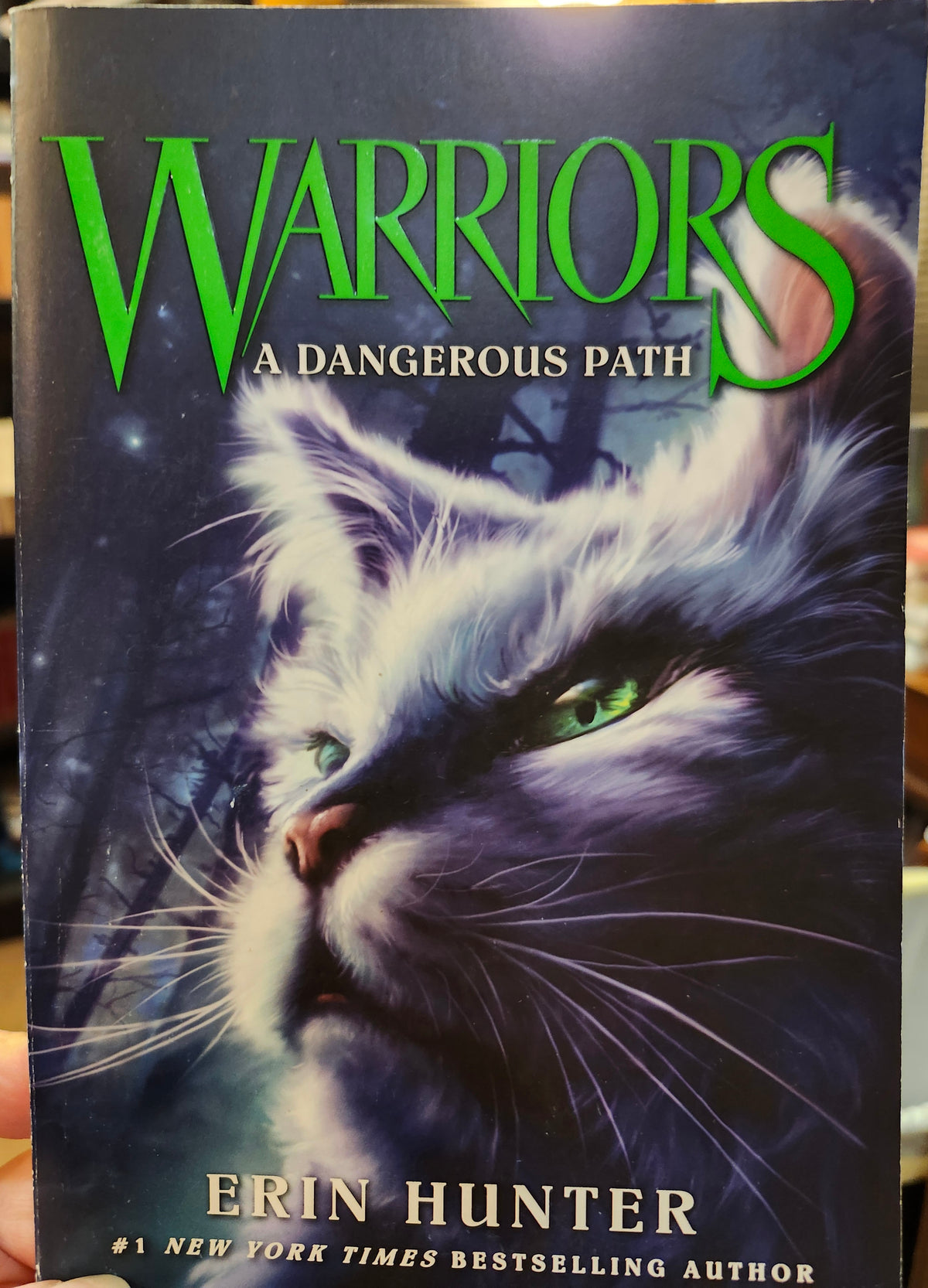 "Warriors #5: A Dangerous Path", (Warriors: The Prophesies Begin) by Erin Hunter (Author), Dave Stevenson (Illustrator)