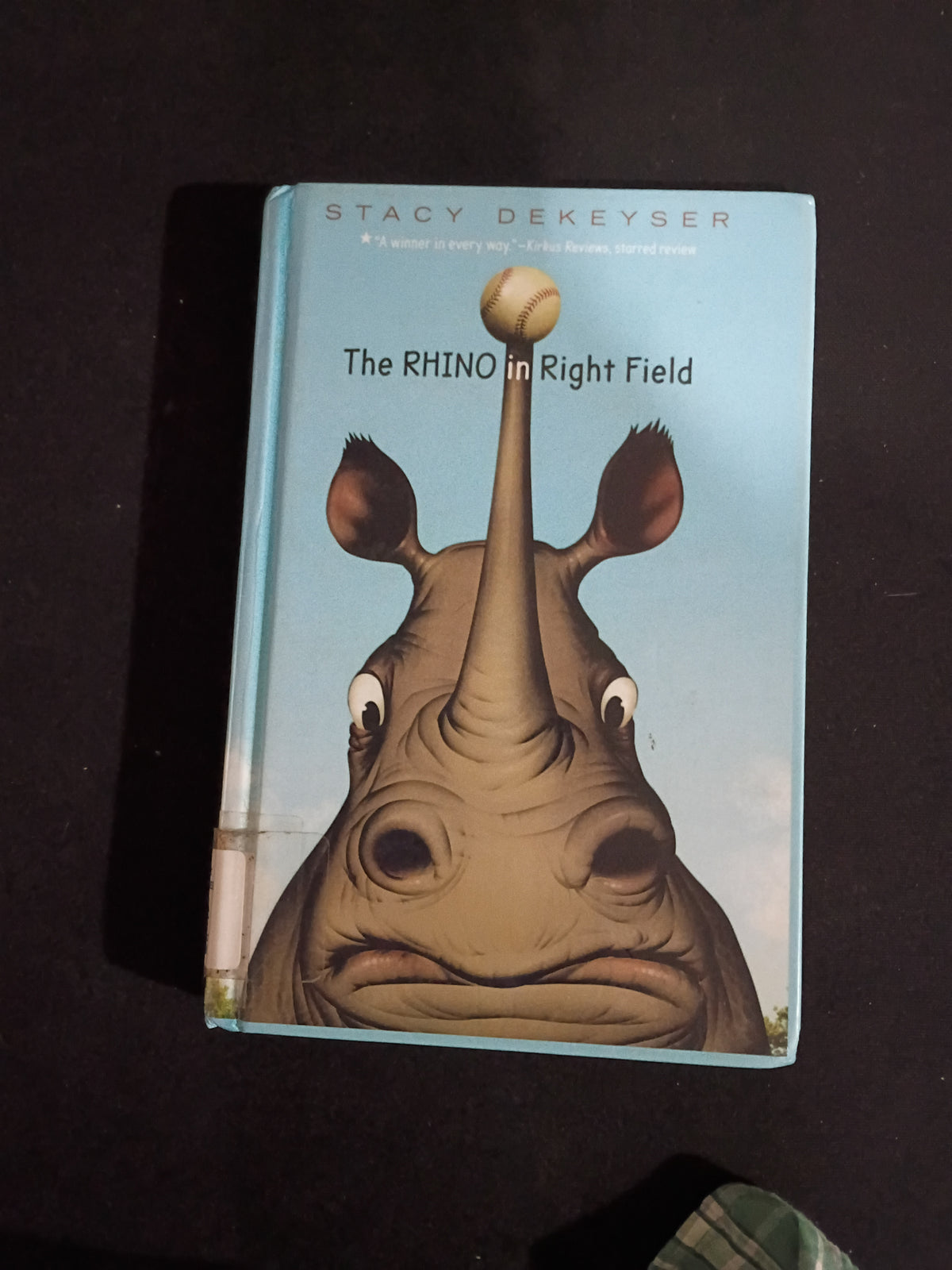 "The Rhino in Right Field" by Stacy Dekeyser